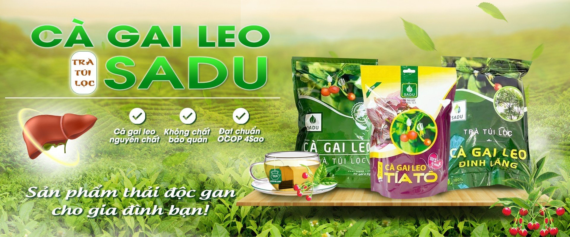 638440240_931120489868356_1784536220499584671_n