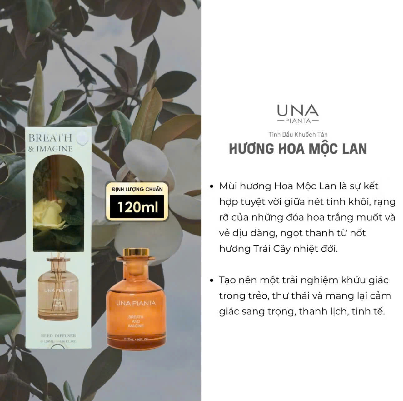 TINH DẦU KHUẾCH TÁN_thumbnail_11