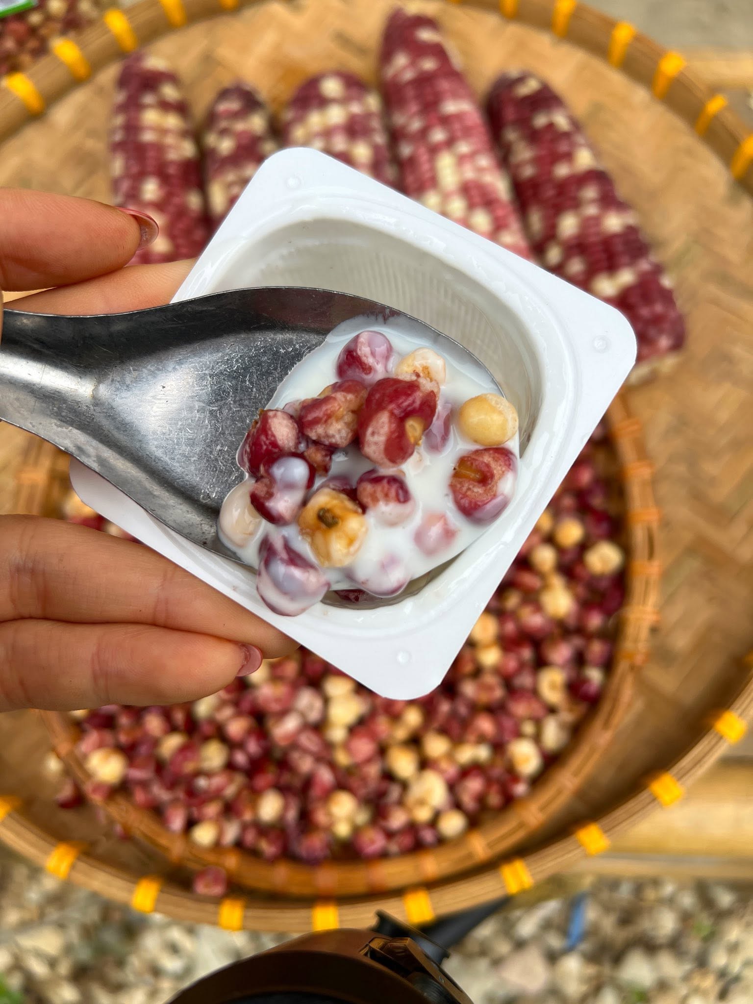 Ngô Nếp Tím_thumbnail_2