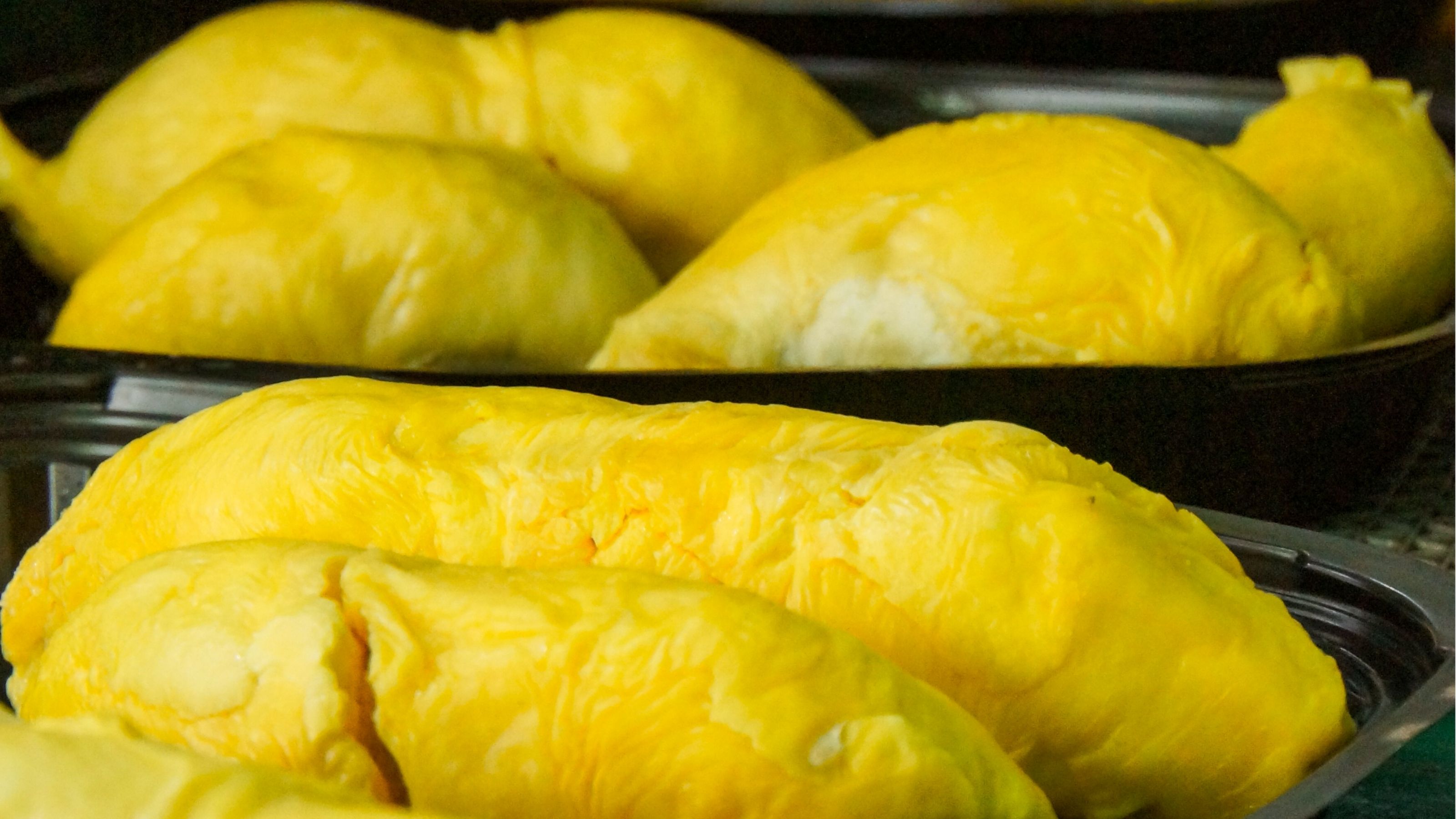 sầu riêng ri6