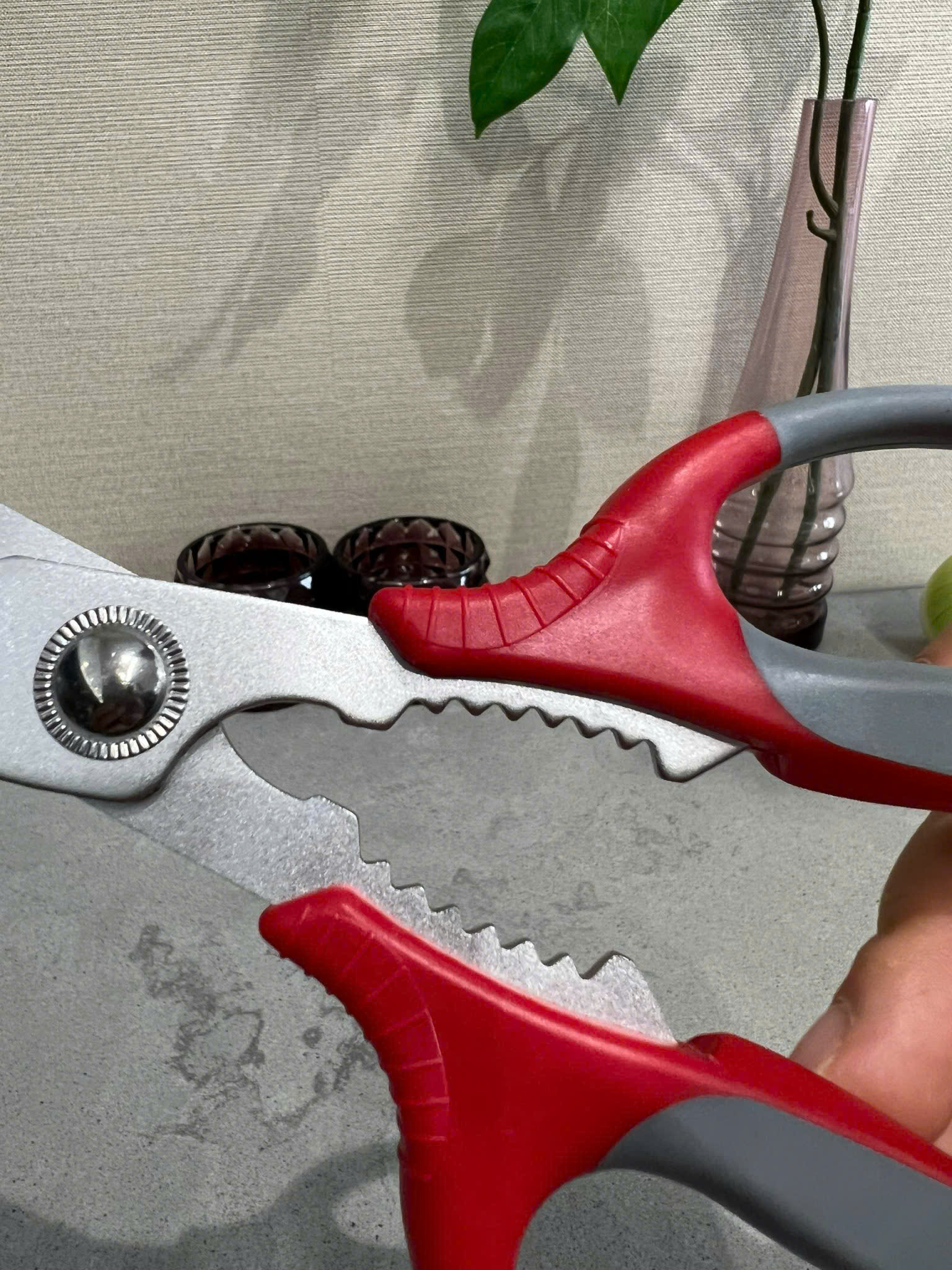 KÉO CẮT GÀ NIKKEN_thumbnail_3