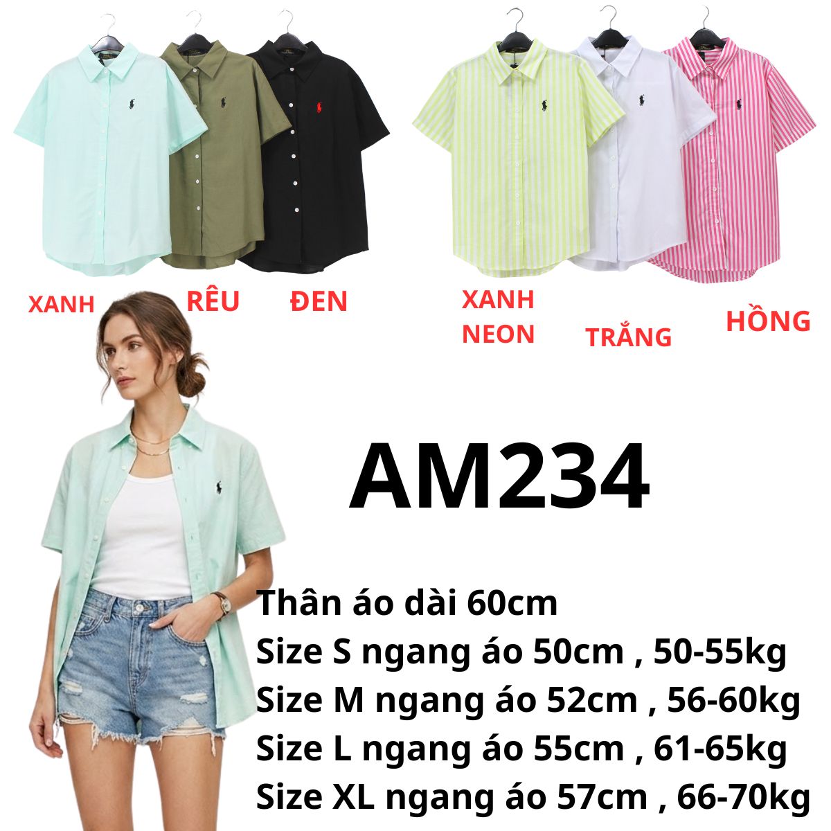 AM234- Áo sơ mi TN