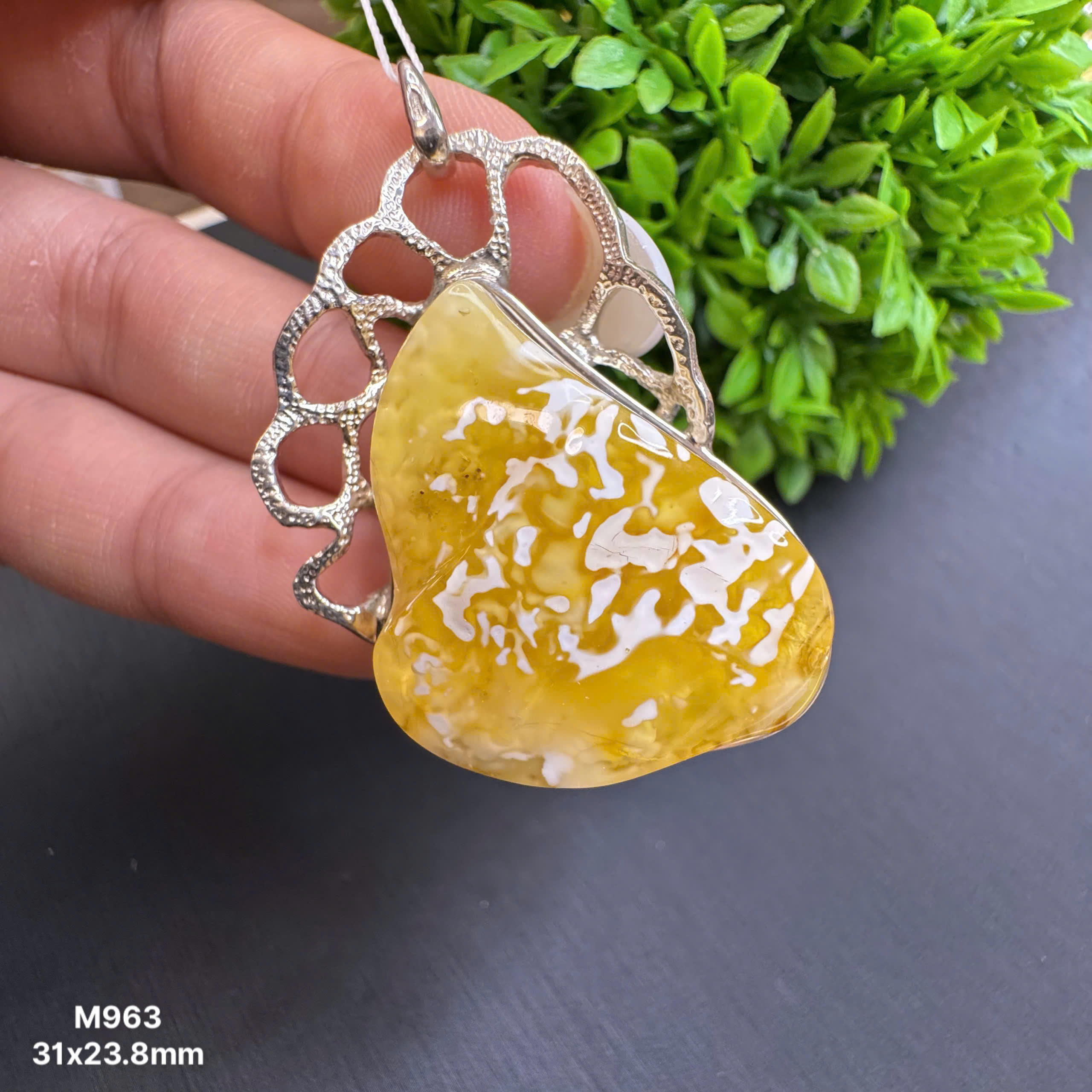 Mặt Mật Bạch Thiết Kế - M963