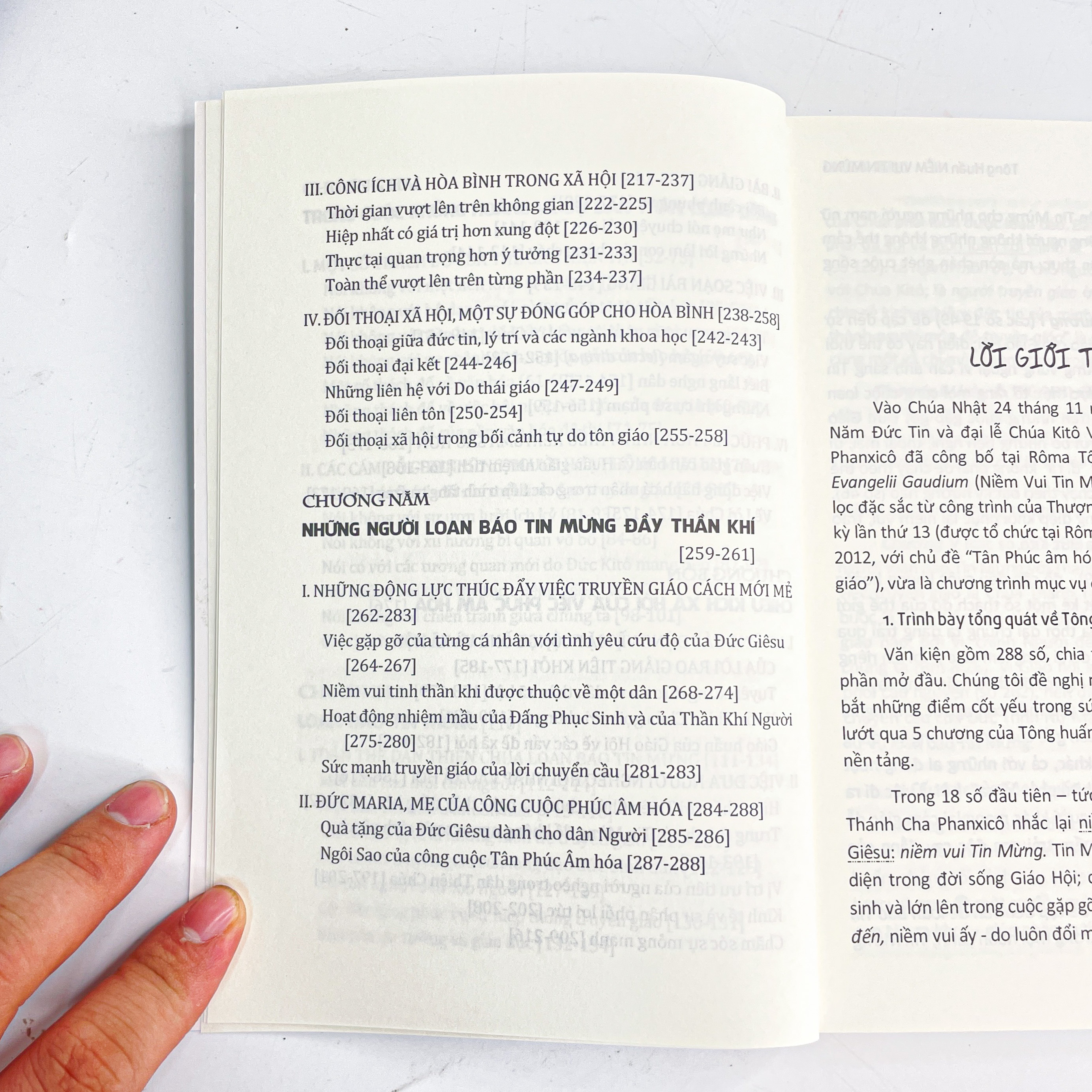 Tông huân Evangelii Gaudium: Niềm vui tin mừng_thumbnail_4