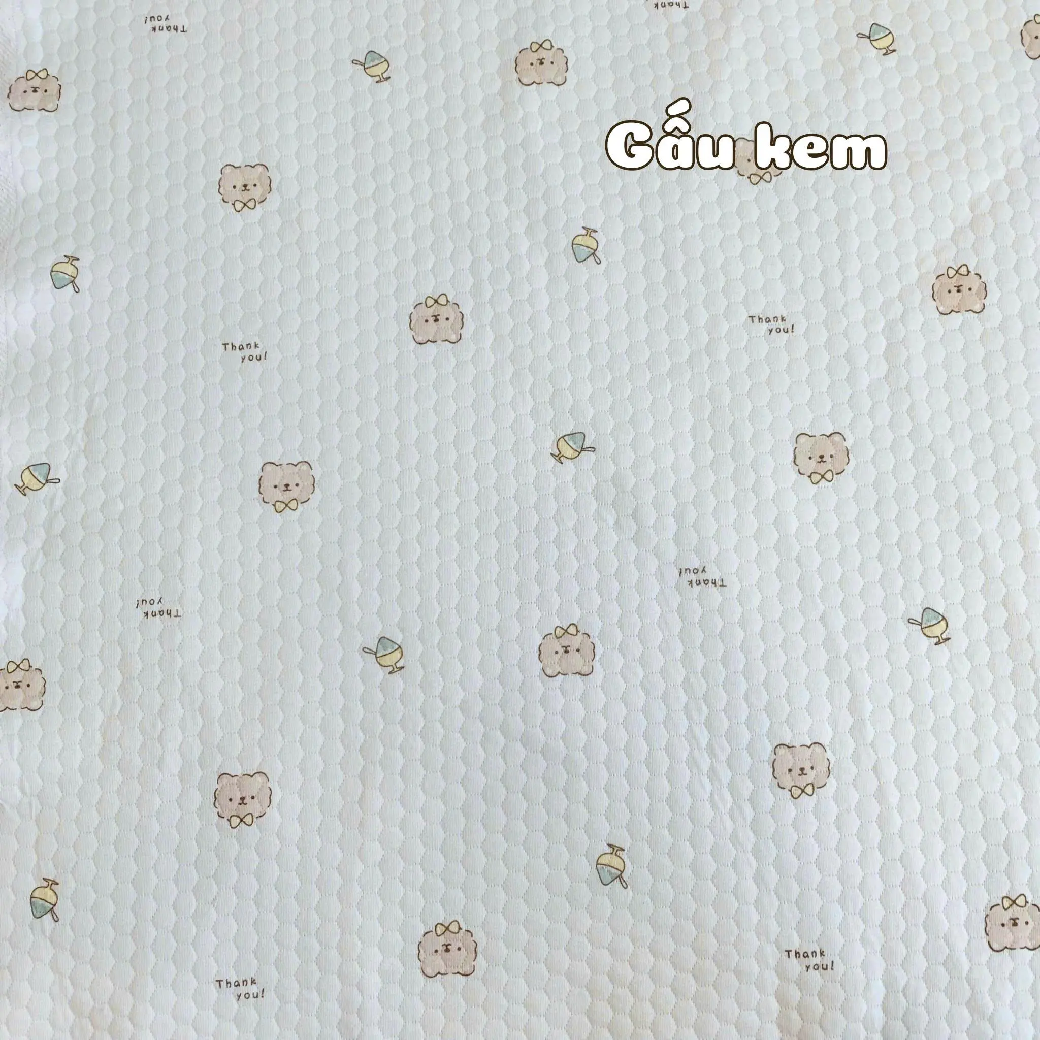Combo 3 Món Nệm Xơ Dừa