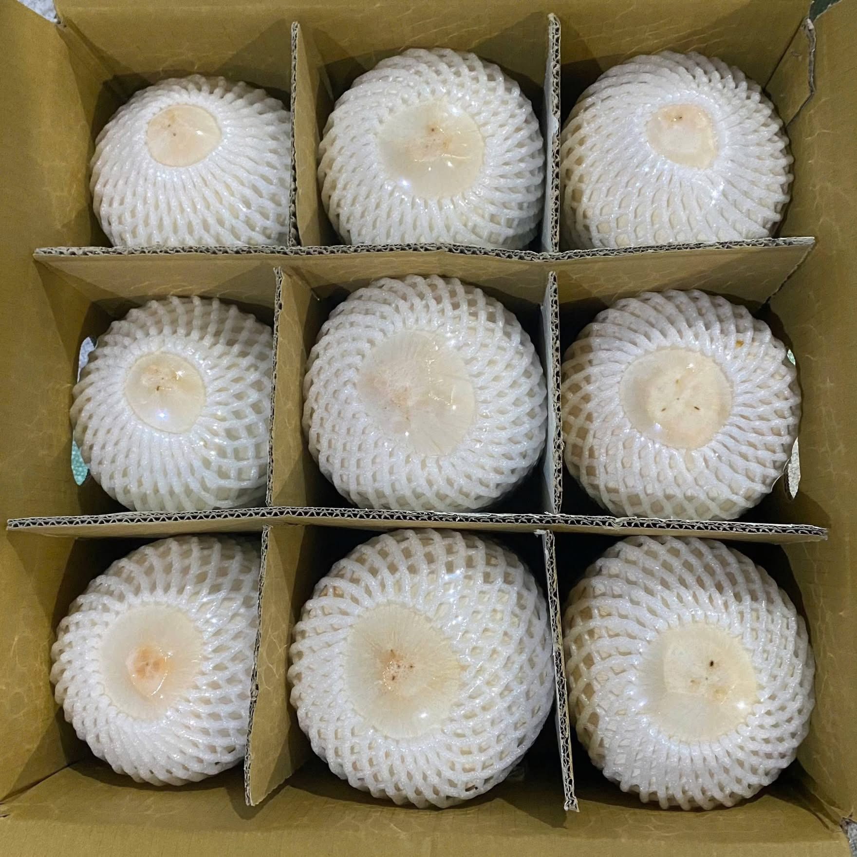 Dừa Kim Cương_thumbnail_2