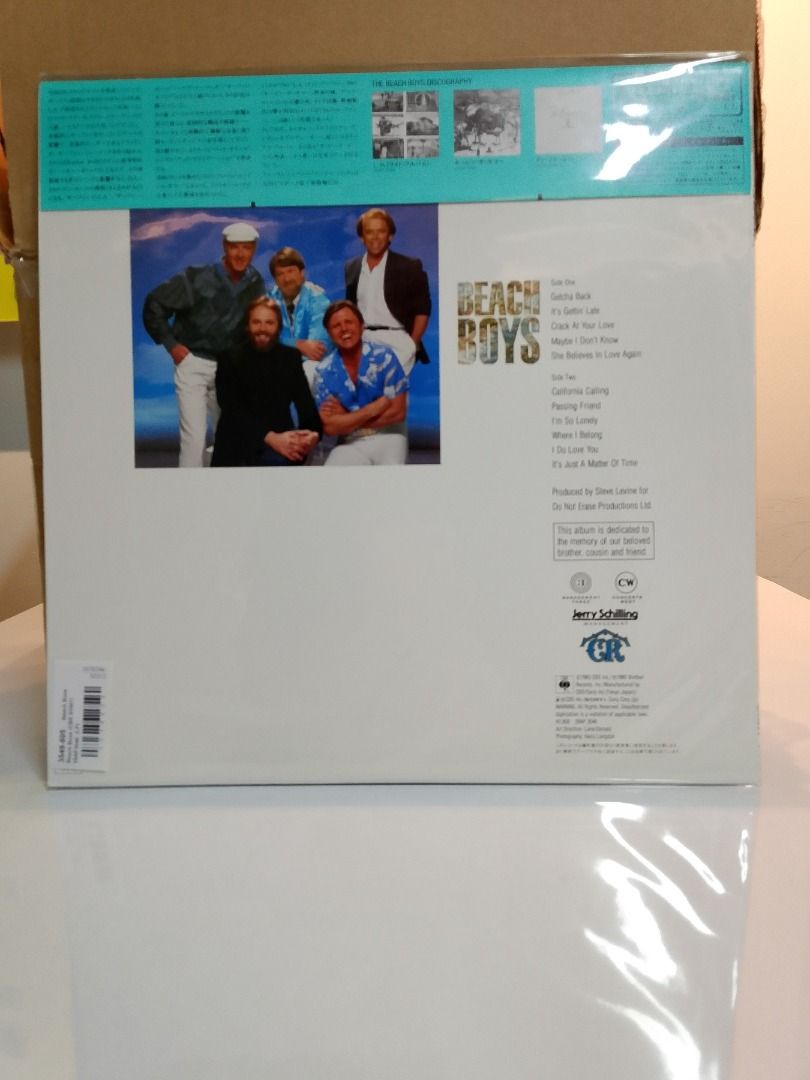 BEACH BOYS - BEACH BOYS _thumbnail_1