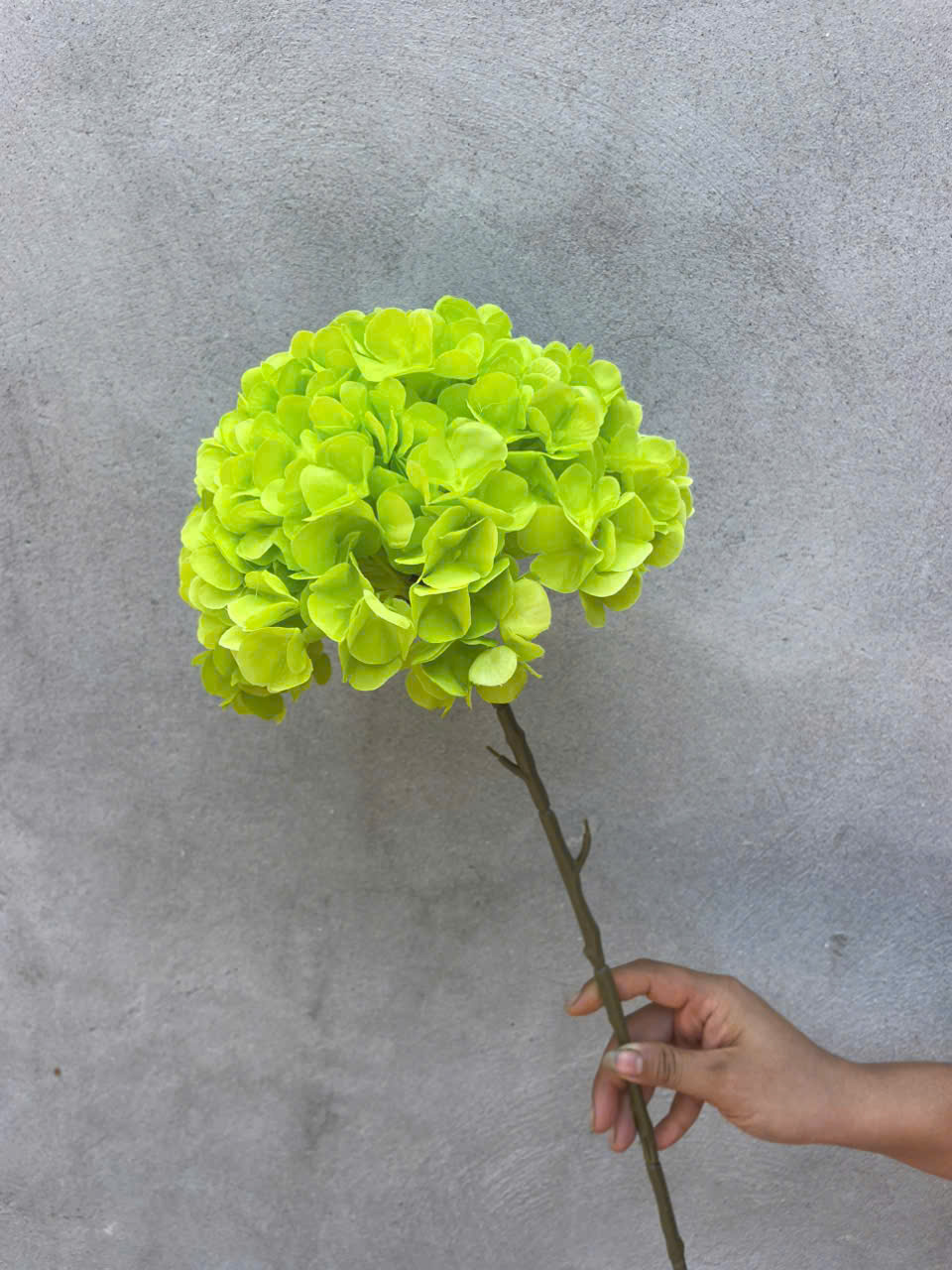 Hoa tú cầu liền cổ lụa cao cấp đẹp như thật, cắm bình sang trọng – decor đám cưới, sự kiện cực dễ_thumbnail_12