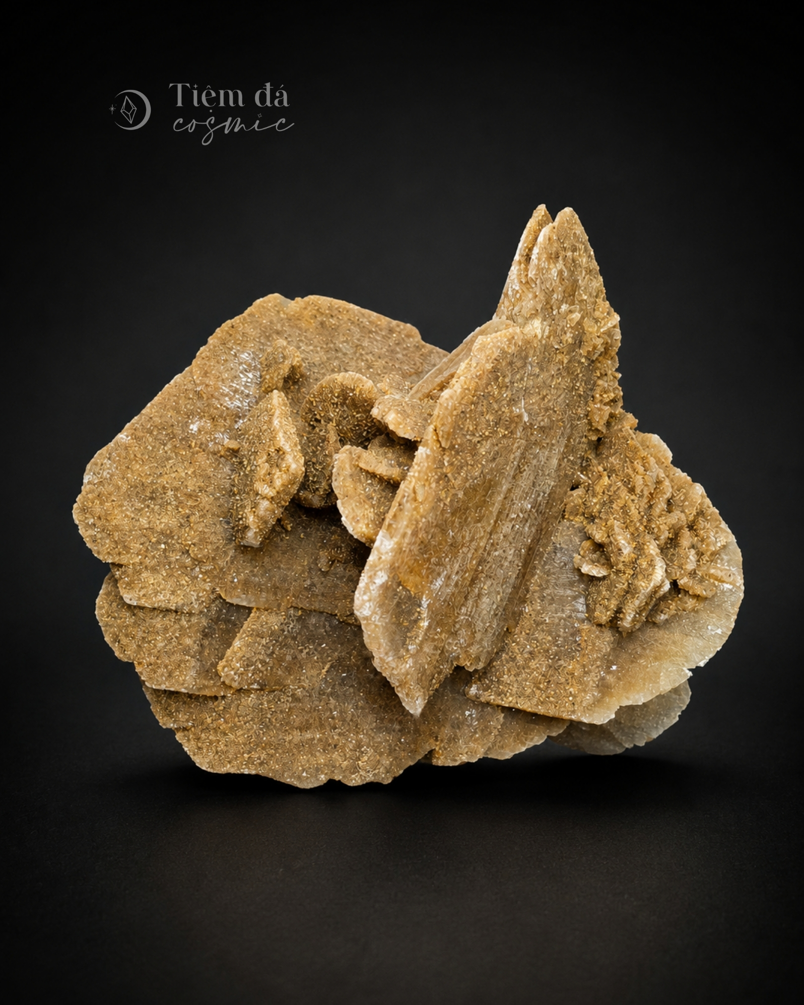 Tinh Thể Hoa Hồng Sa Mạc Desert Rose (có phản ứng UV) - Nội Mông_thumbnail_14