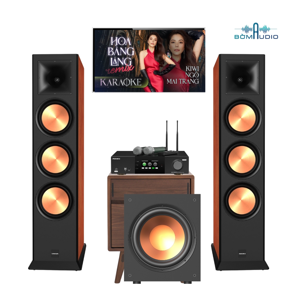 COMBO KARAOKE PARAMAX EURO 803 LIMITED - PD1