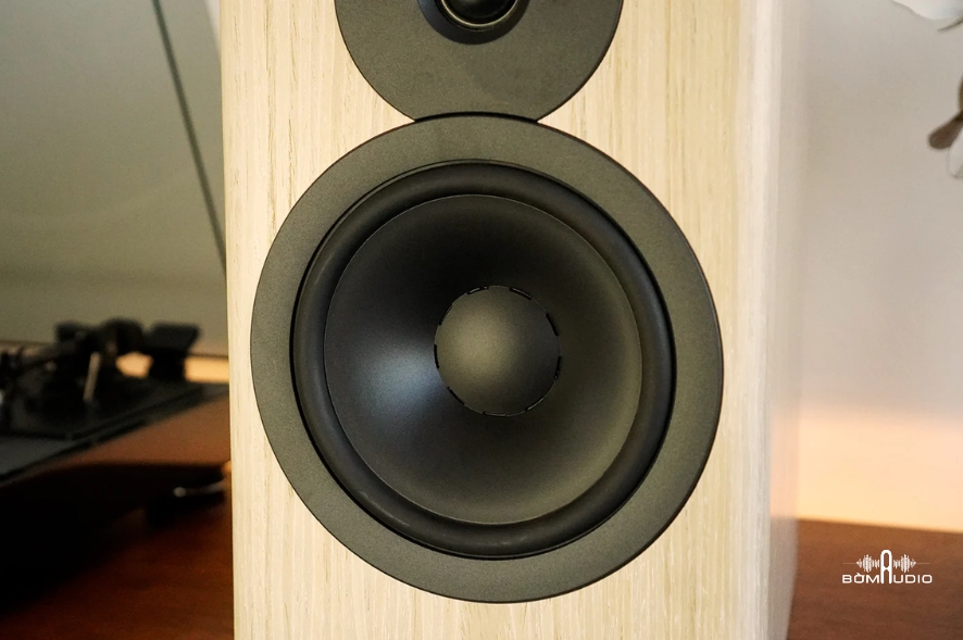 Loa Bookshelf DYNAUDIO EVOKE 20