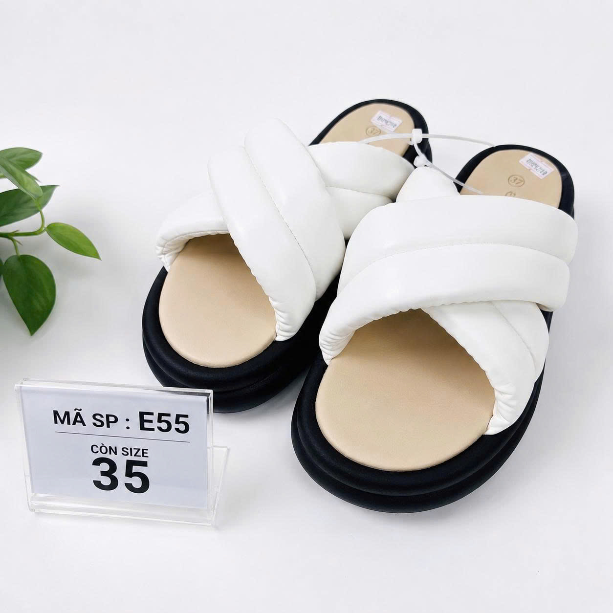 E55- GIÀY DÉP USA