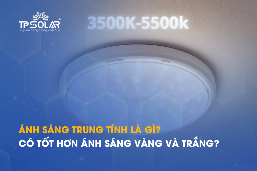 Ánh sáng trung tính là gì? Có tốt hơn ánh sáng vàng và trắng?