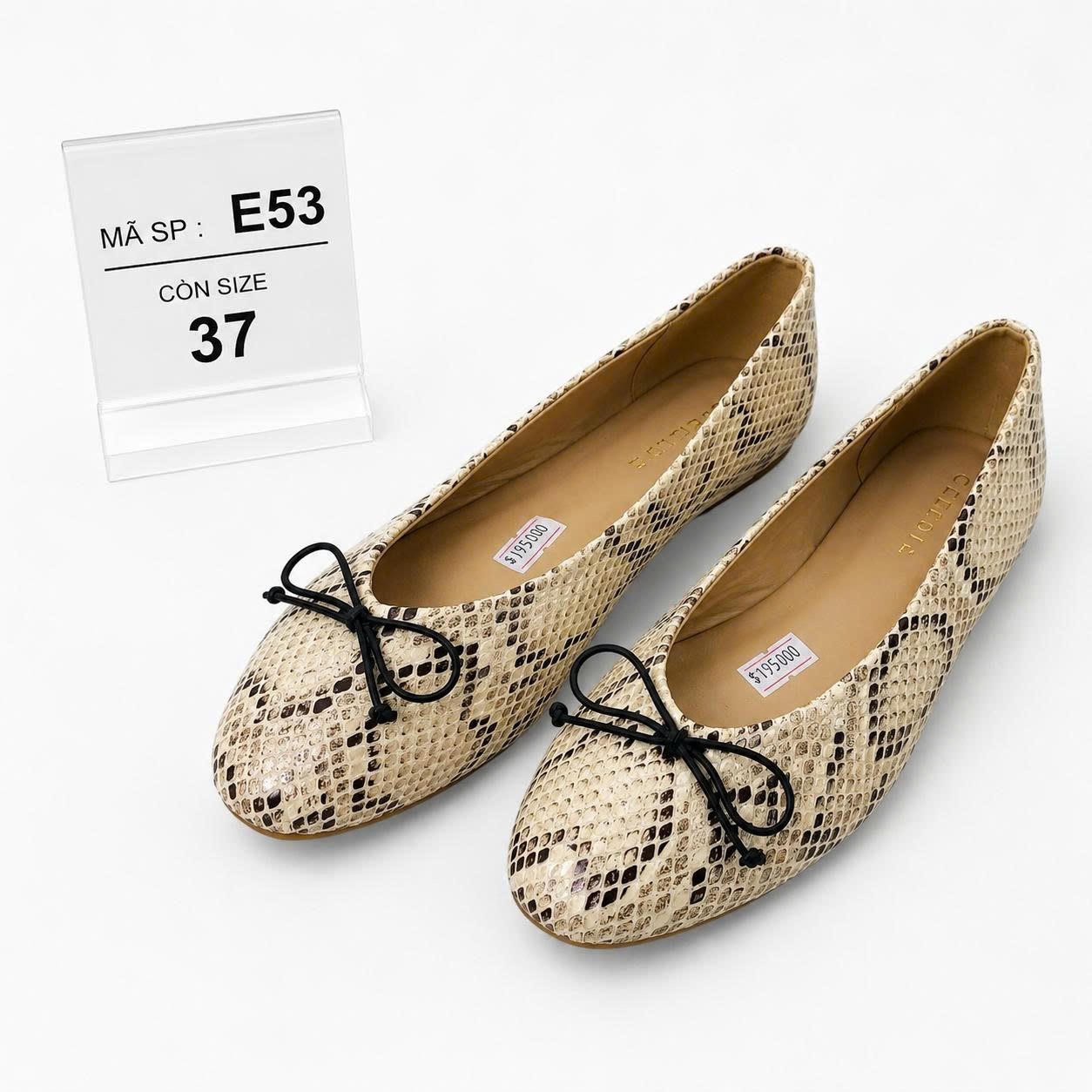 E53-GIÀY DÉP USA