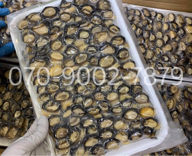 Ốc bươu | Vỉ 500G_thumbnail_1