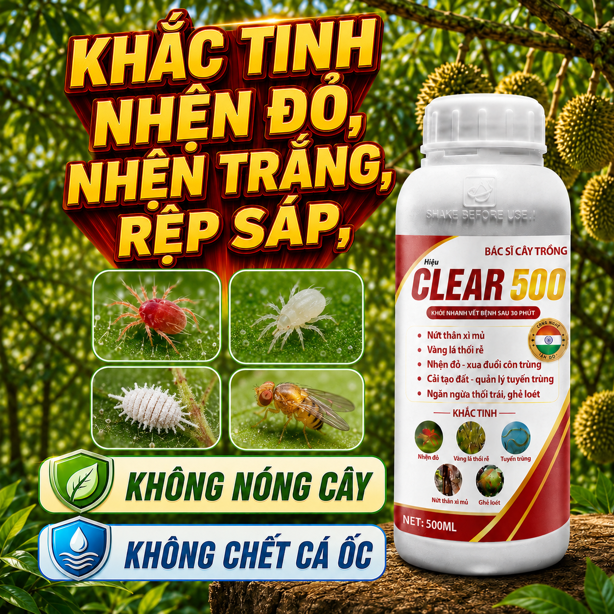 CLEAR 500_thumbnail_3