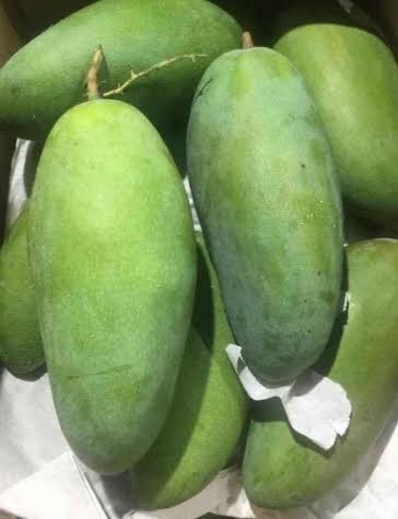 Xoài Thái ( kg )