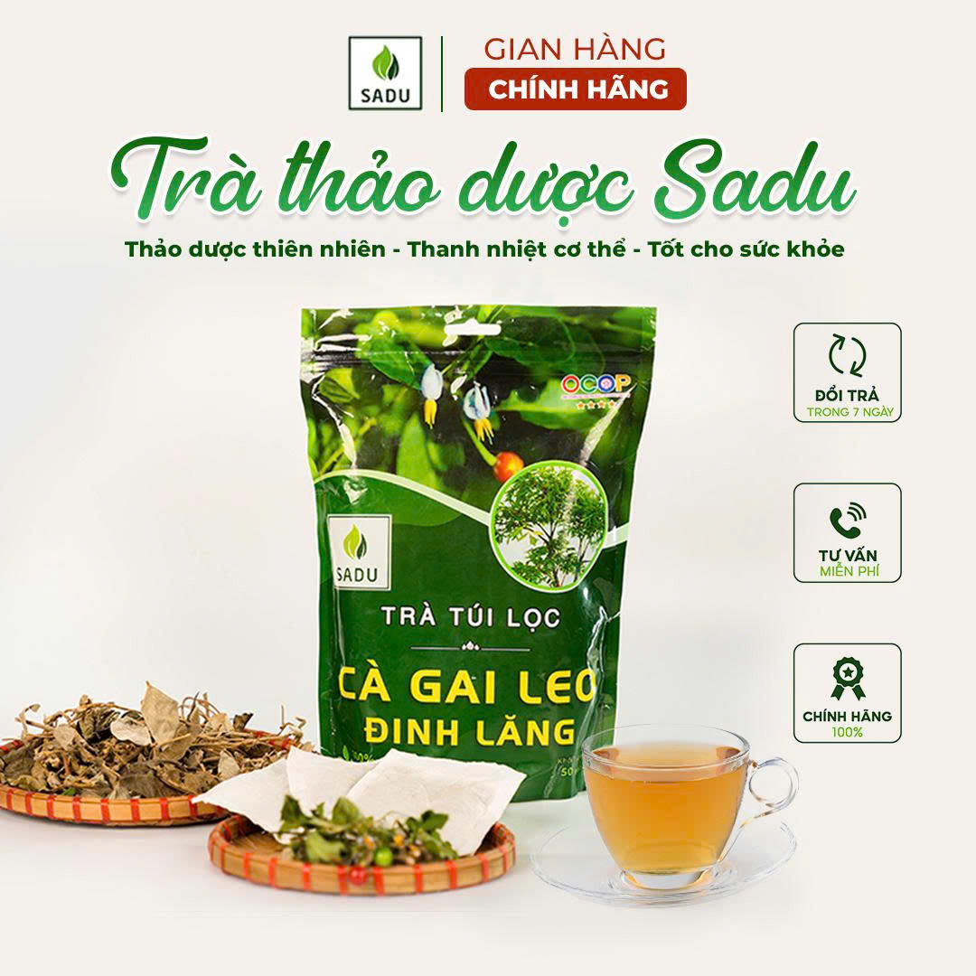 Trà cà gai leo đinh lăng sadu gói 250g