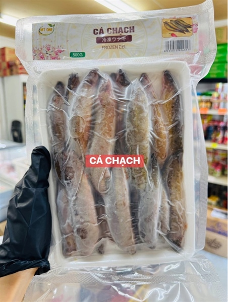 Cá chạch ( vỉ ) 