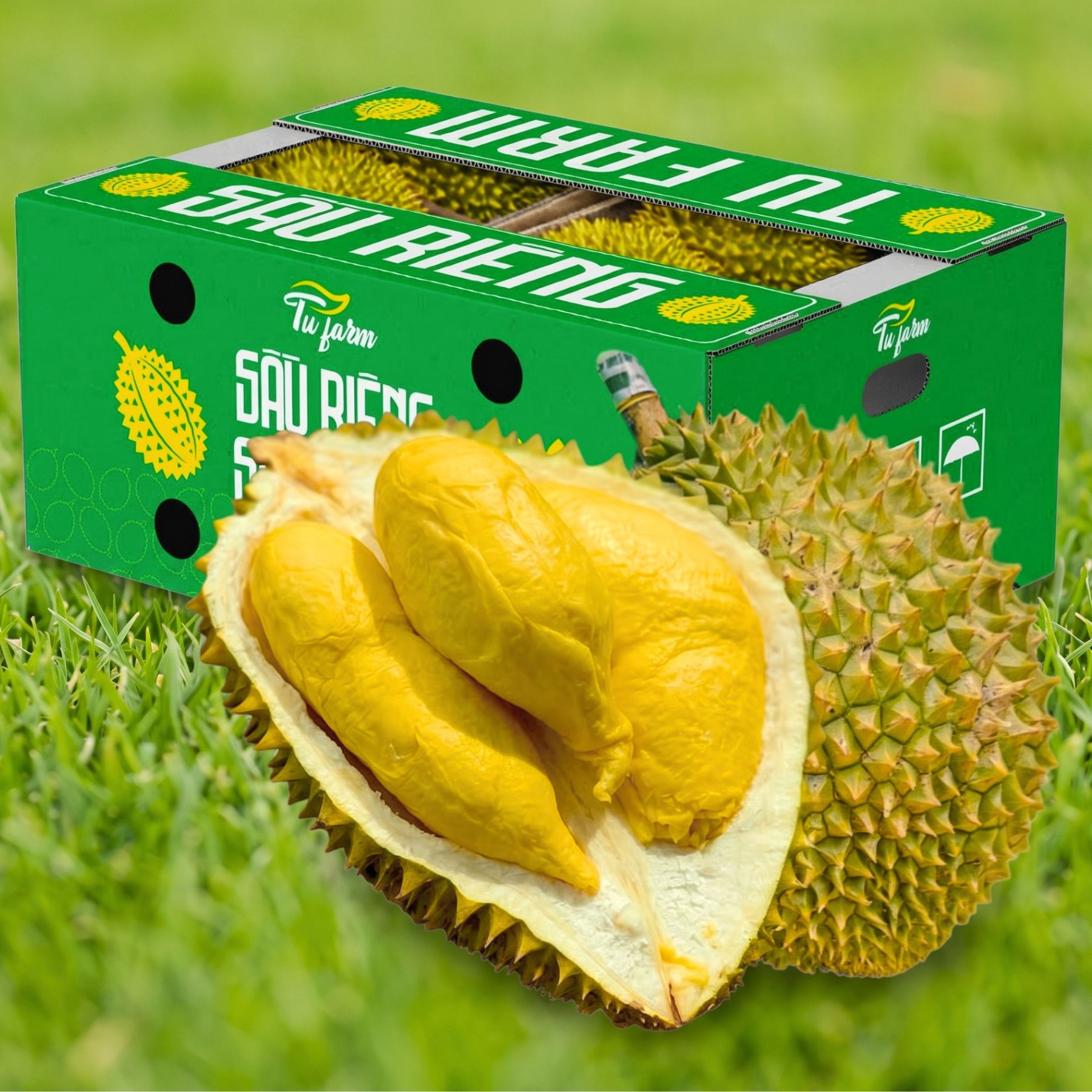 Trái Loại 2 - Sầu Riêng Ri6 MIỀN TÂY ( VIETGAP )