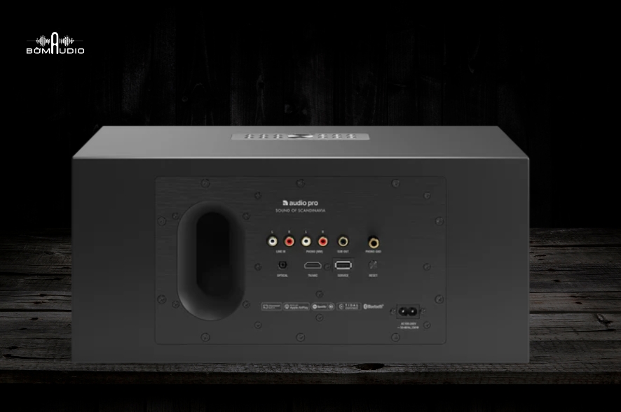 Loa Bluetooth AUDIO PRO C20