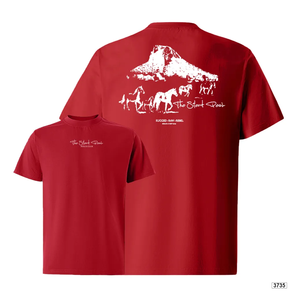 Áo thun nam oversize dày dặn đứng form streetwear style Polux 3735_thumbnail_13