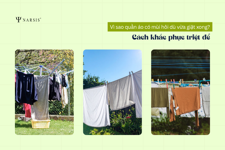 Quần áo có mùi hôi dù vừa giặt xong? Cách khắc phục triệt để