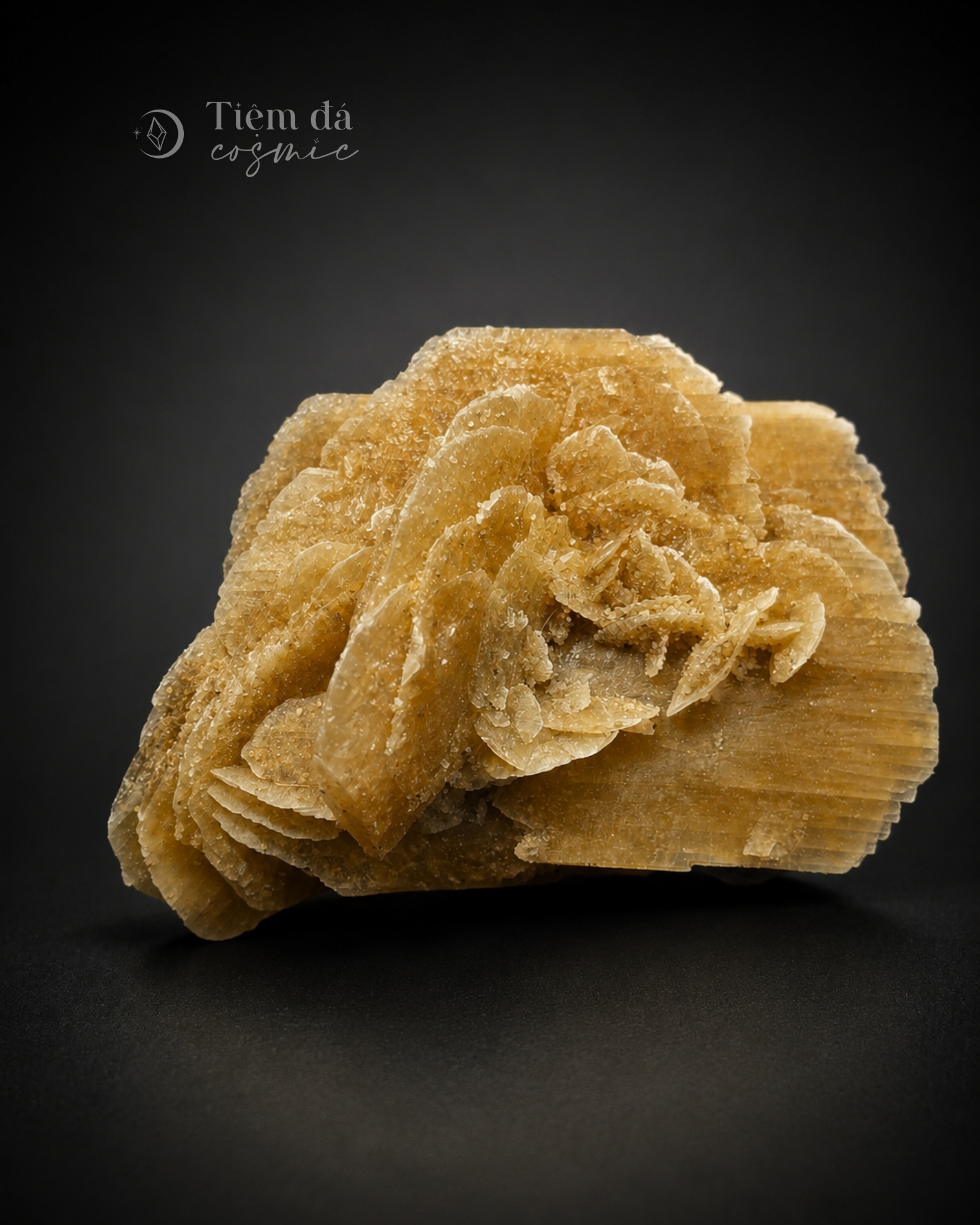 Tinh Thể Hoa Hồng Sa Mạc Desert Rose (có phản ứng UV) - Nội Mông_thumbnail_6