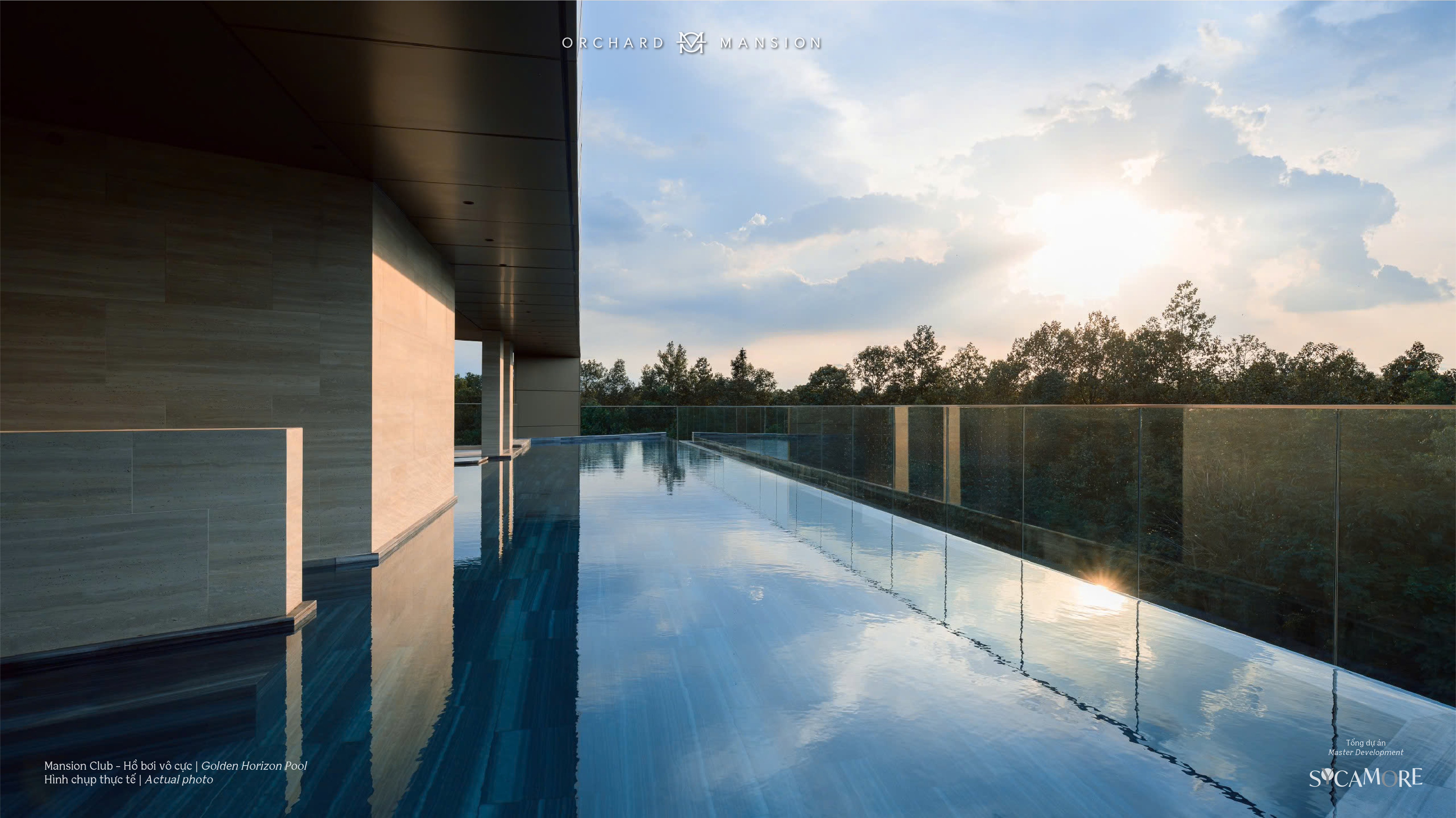 MC Golden Horizon Pool