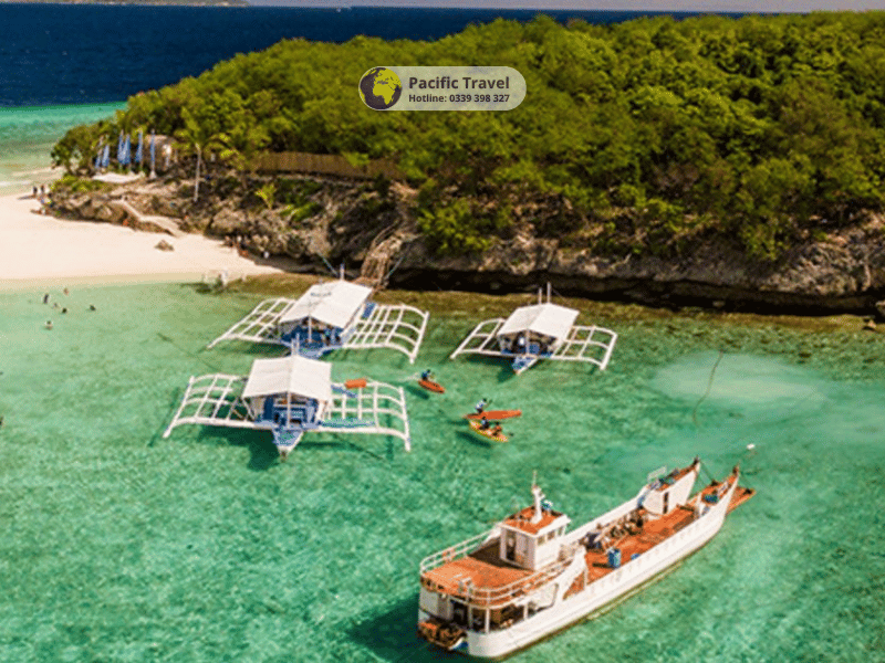 Philippines: Cebu - Oslob - MoalBoal - Lặng ngắm cá mập 4N4Đ_1