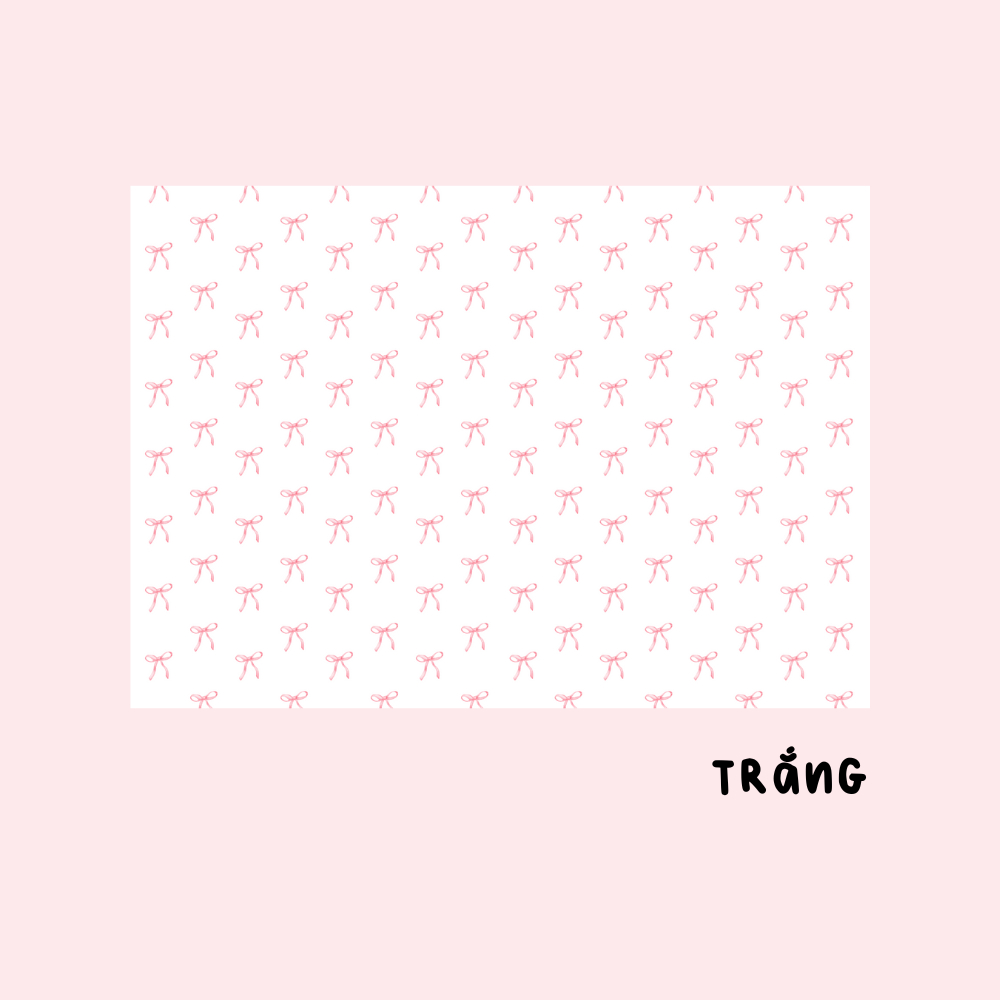 Giấy bao tập NƠ NHÍ Pastel Dễ Thương_thumbnail_3