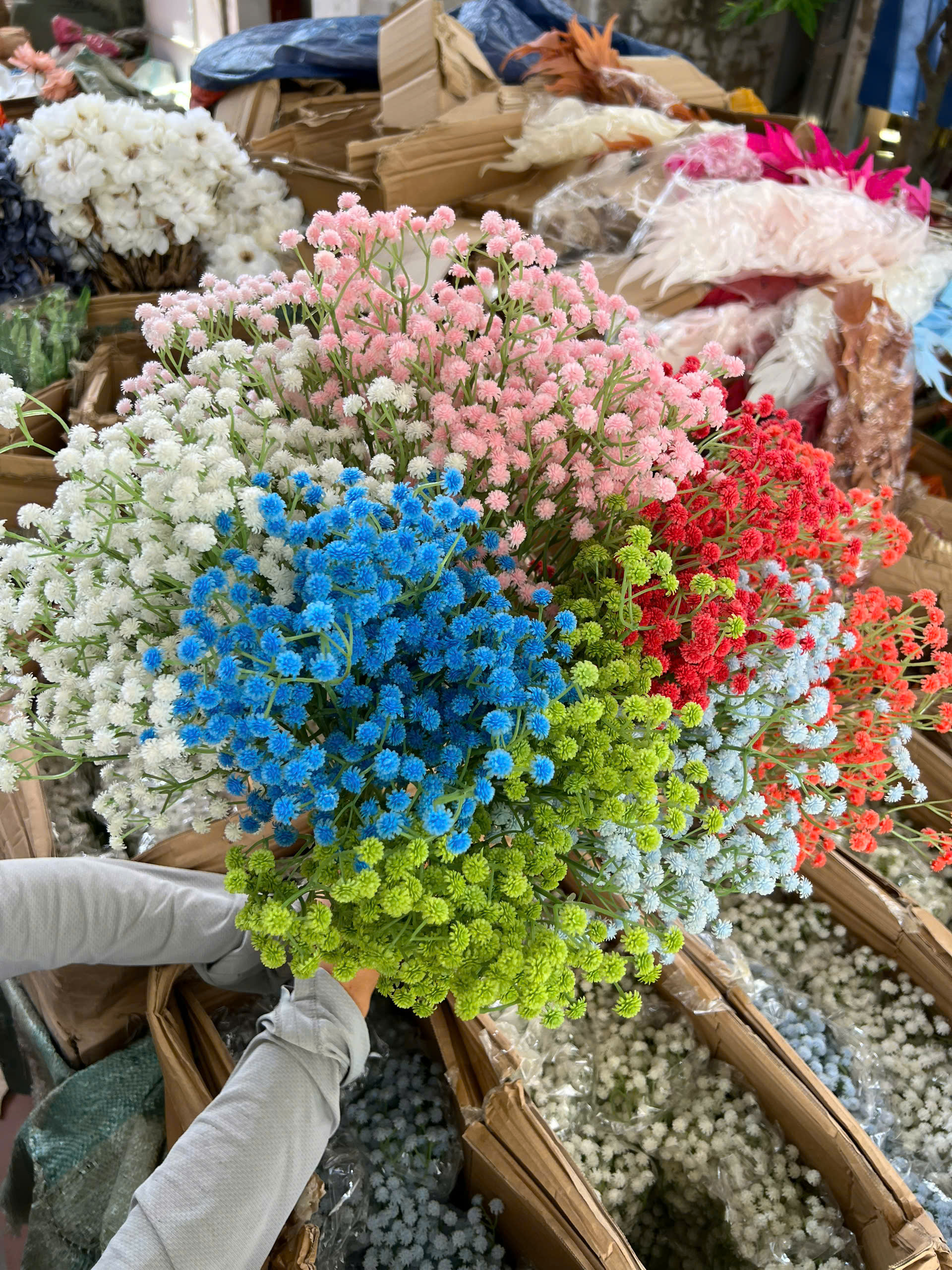CÀNH ĐIỂM BI SU_thumbnail_8
