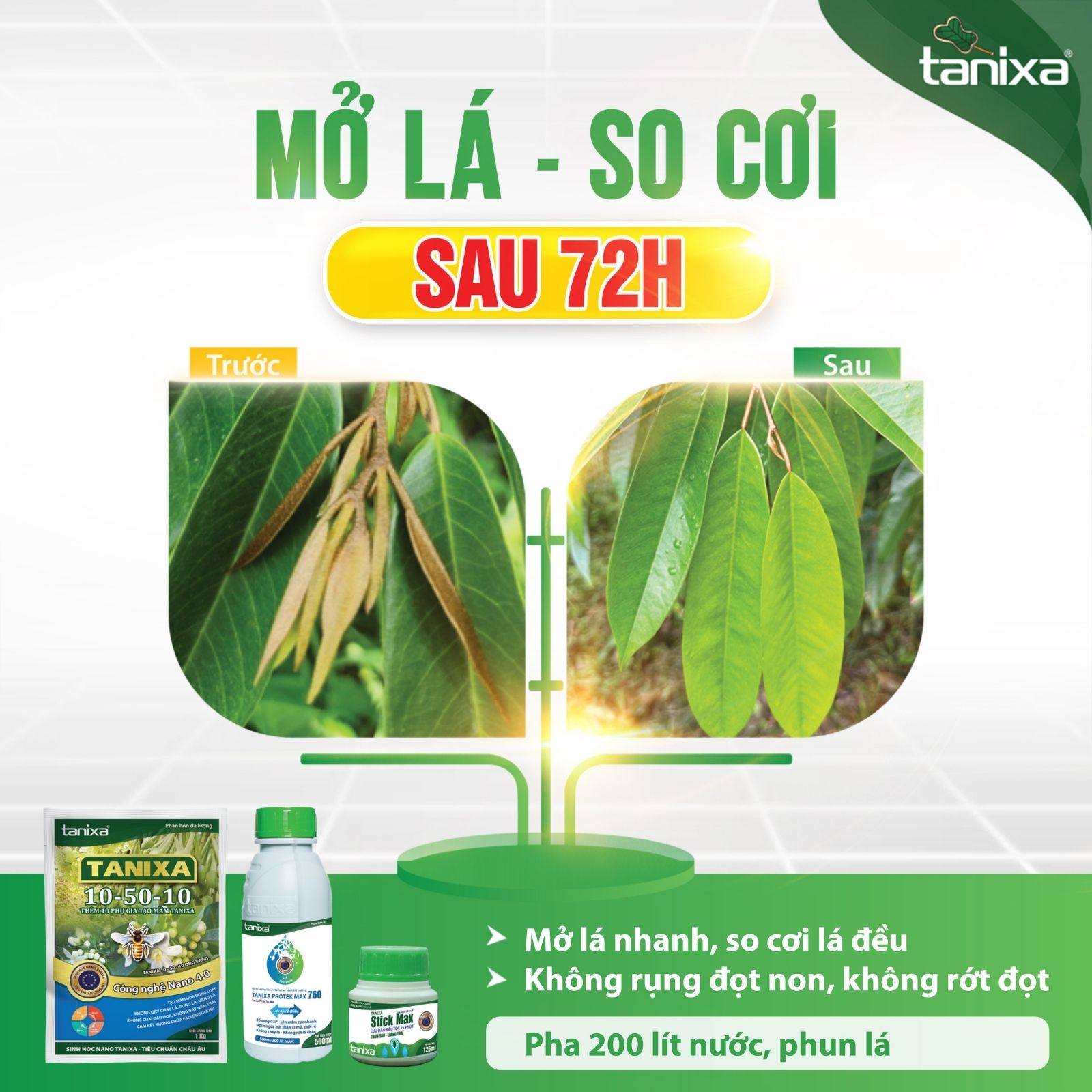 Bộ mở lá - So cơi Tanixa_thumbnail_8