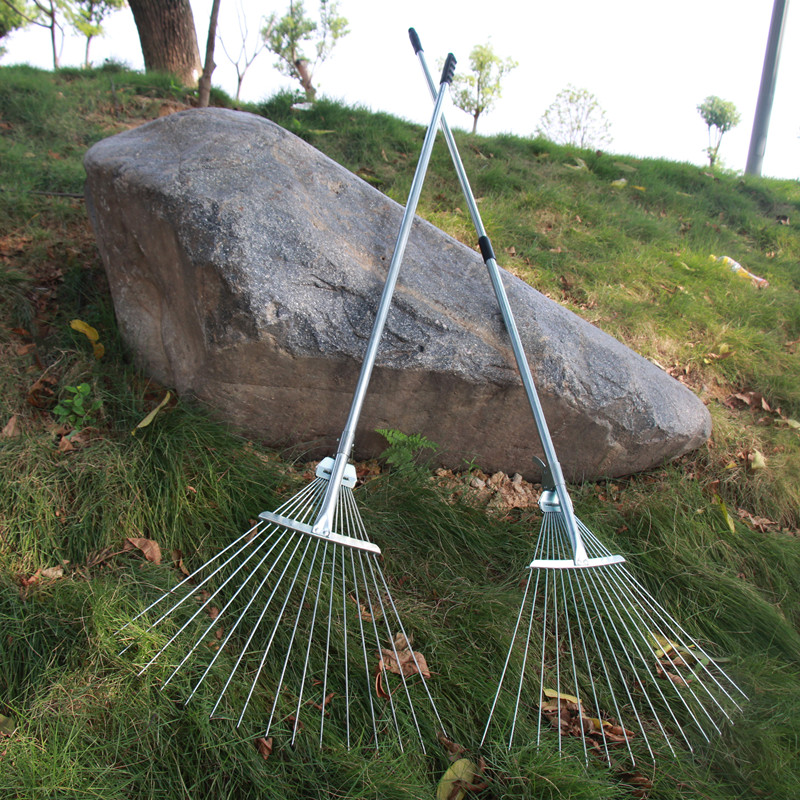 Chổi Cào Lá Cây_thumbnail_5