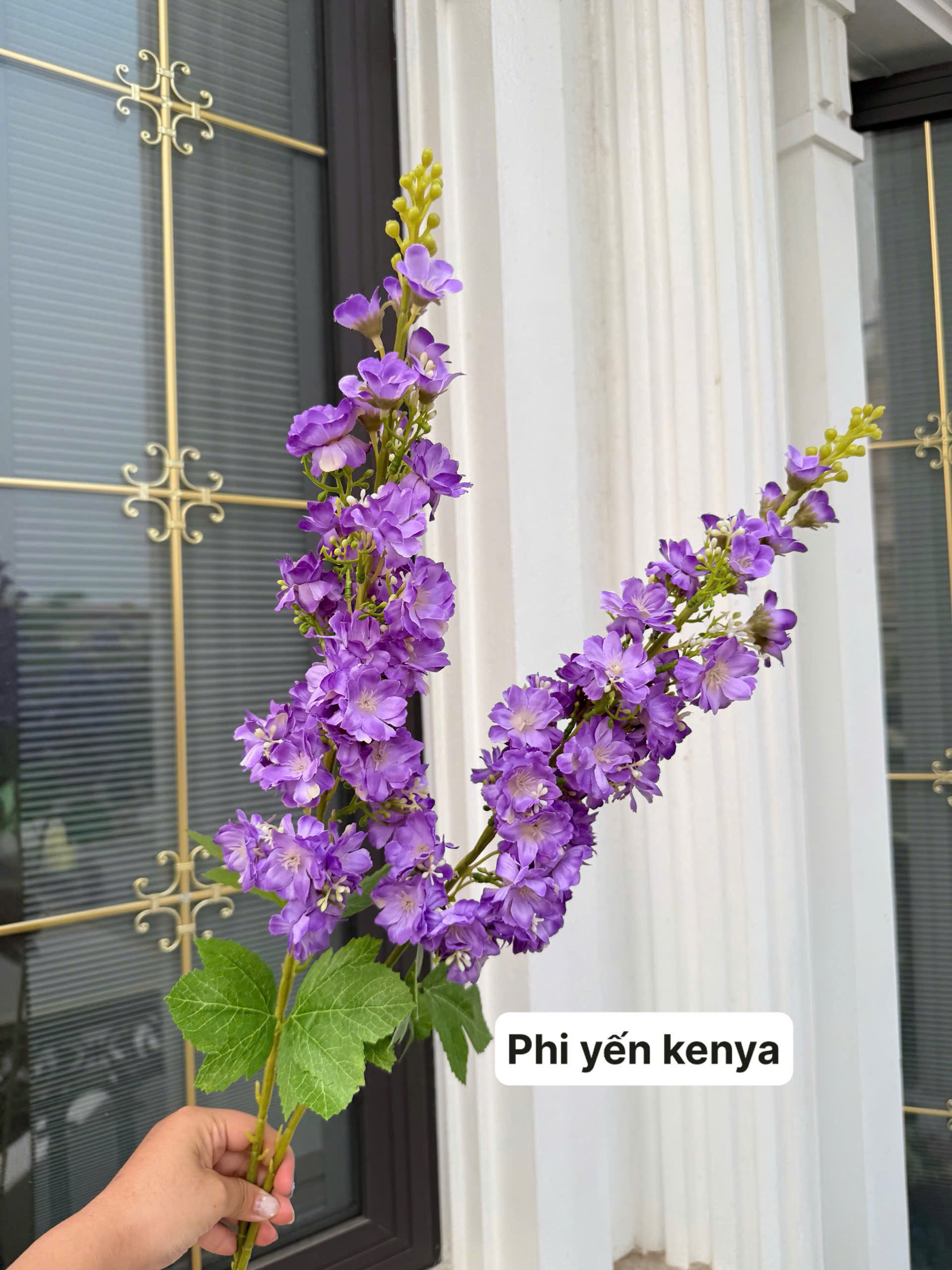 Hoa Phi Yến Kenya | lụa cao cấp đẹp như thật, bền sang cho trang trí đám cưới, decor sự kiện và không gian sống