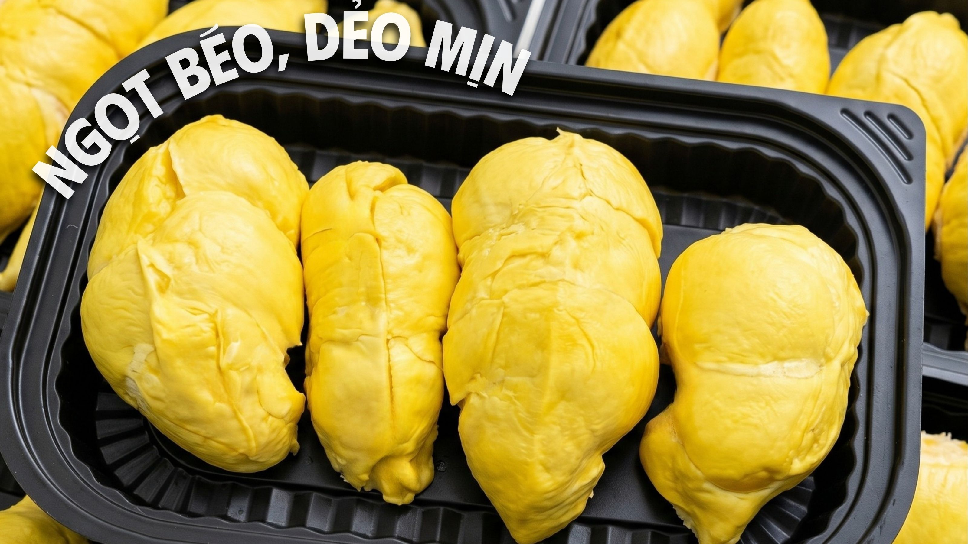 sầu riêng óc khỉ Tu Farm
