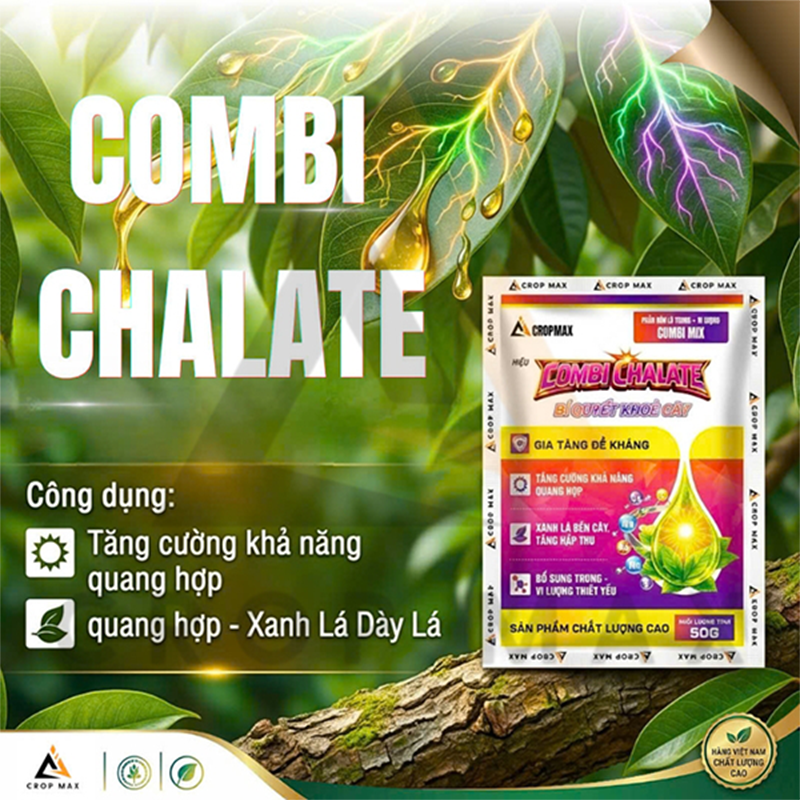 COMBI CHALATE – Phân bón lá trung vi lượng tăng đề kháng, xanh lá, tăng năng suất_thumbnail_2