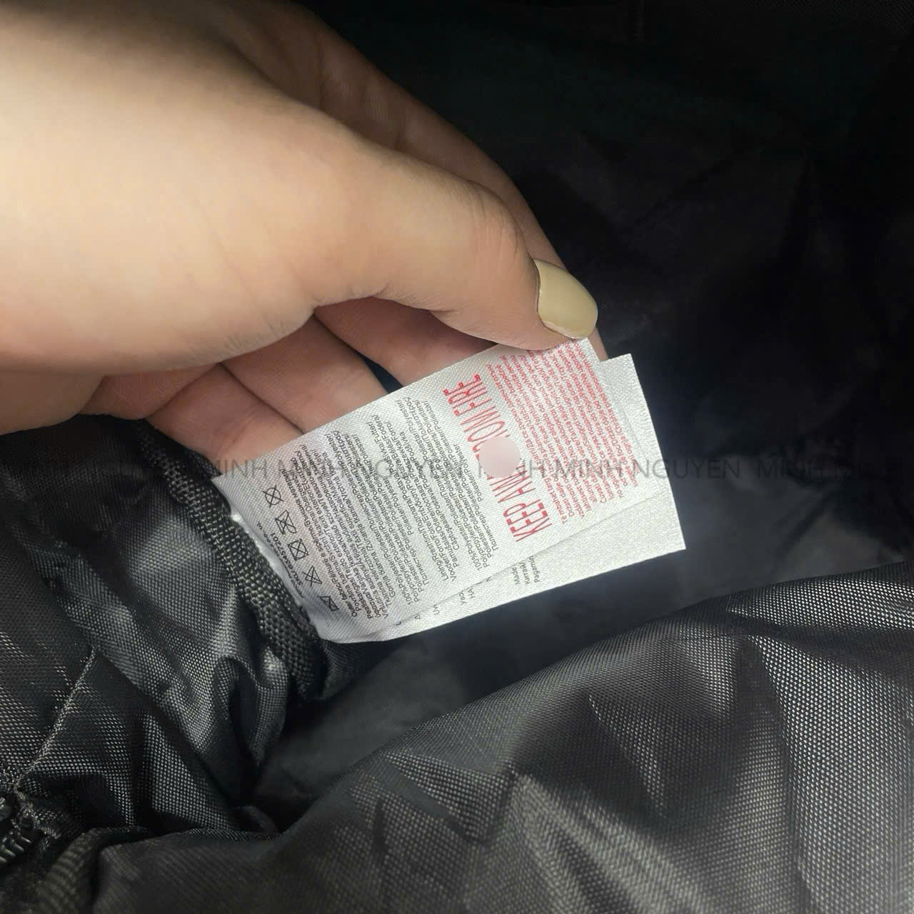 BALO CARDIO BUNNY_thumbnail_1