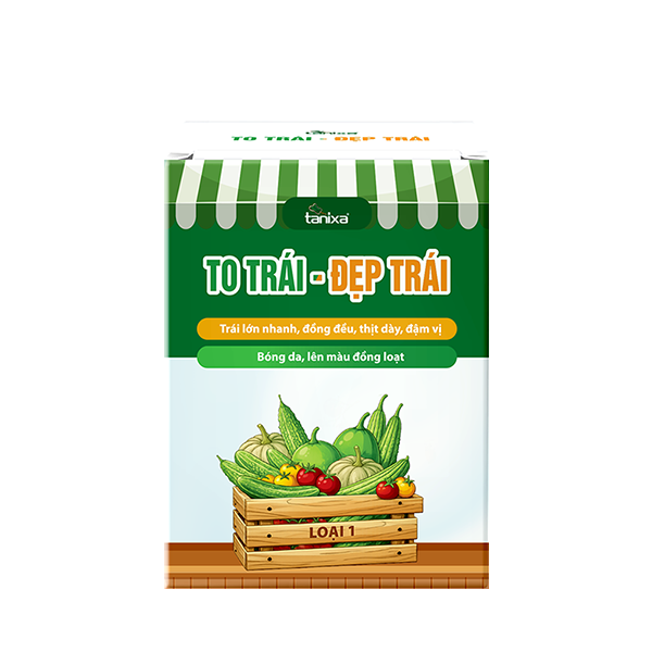 Bộ chuyên to trái - Đẹp trái Tanixa (KM)