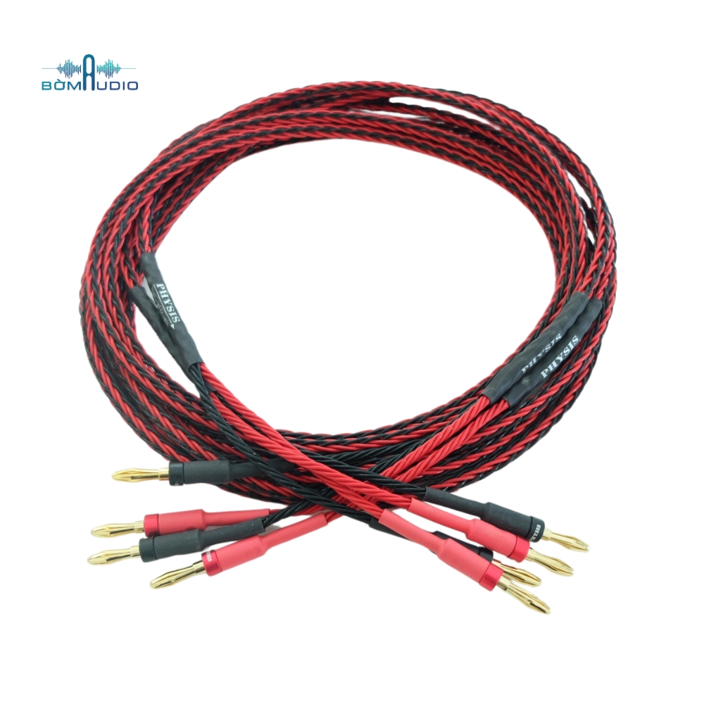 Dây Loa Bắp Chuối PHYSIS CLASSIC 2.5M_thumbnail_1