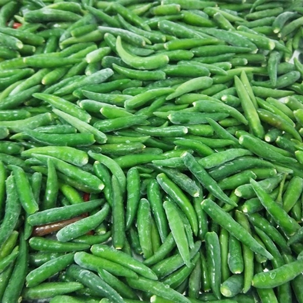 Ớt xanh cay 200 gram ( túi )