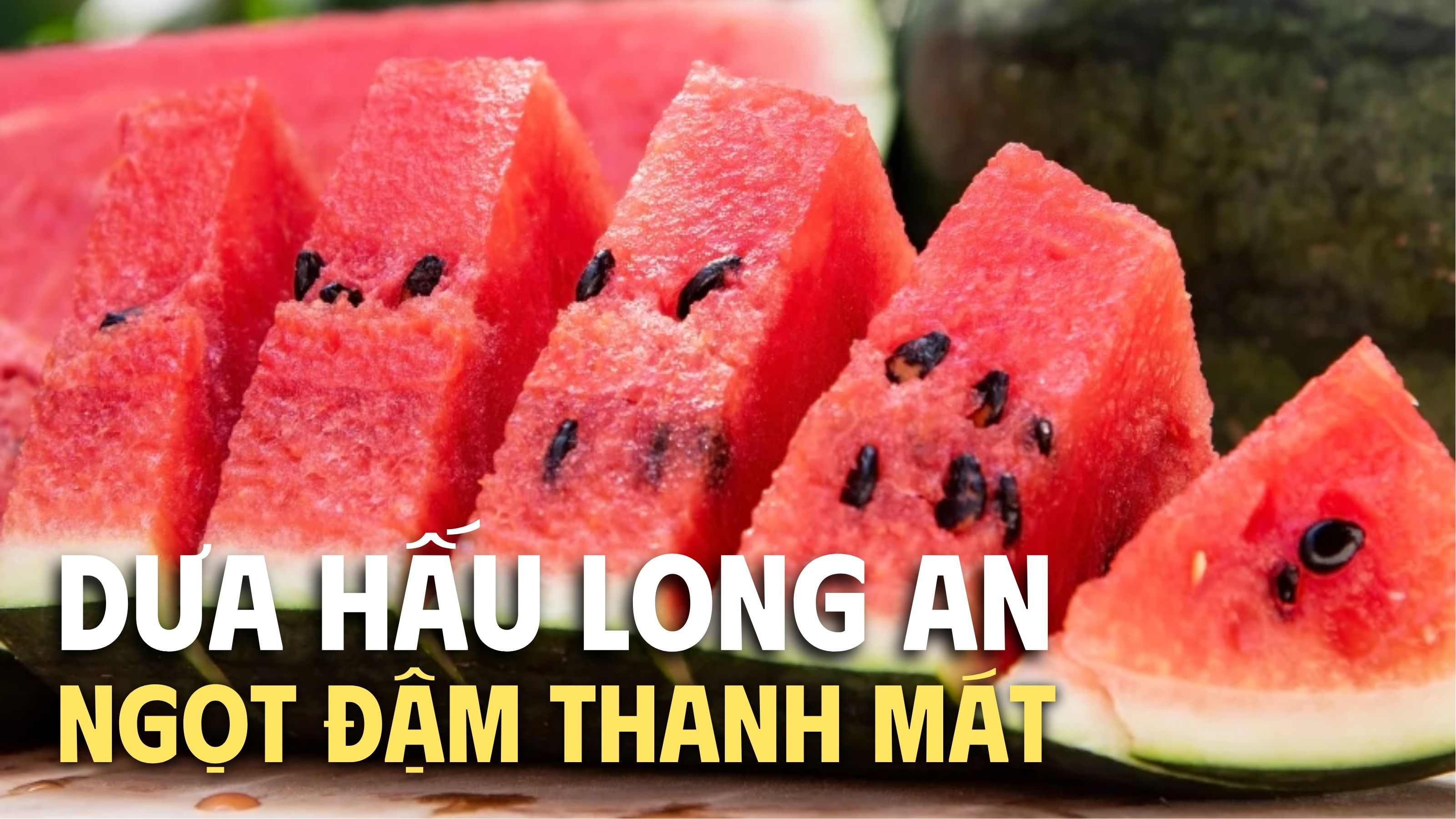 mua dưa hấu long an 