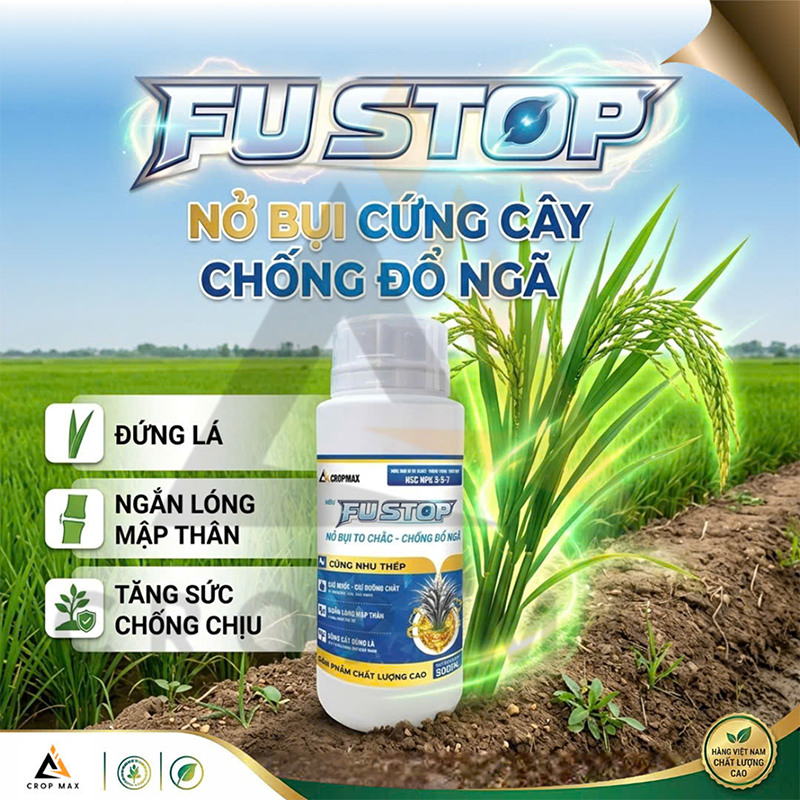 FU STOP – Giải Pháp Chống Đổ Ngã, Nở Bụi To Chắc Cho Lúa_thumbnail_3