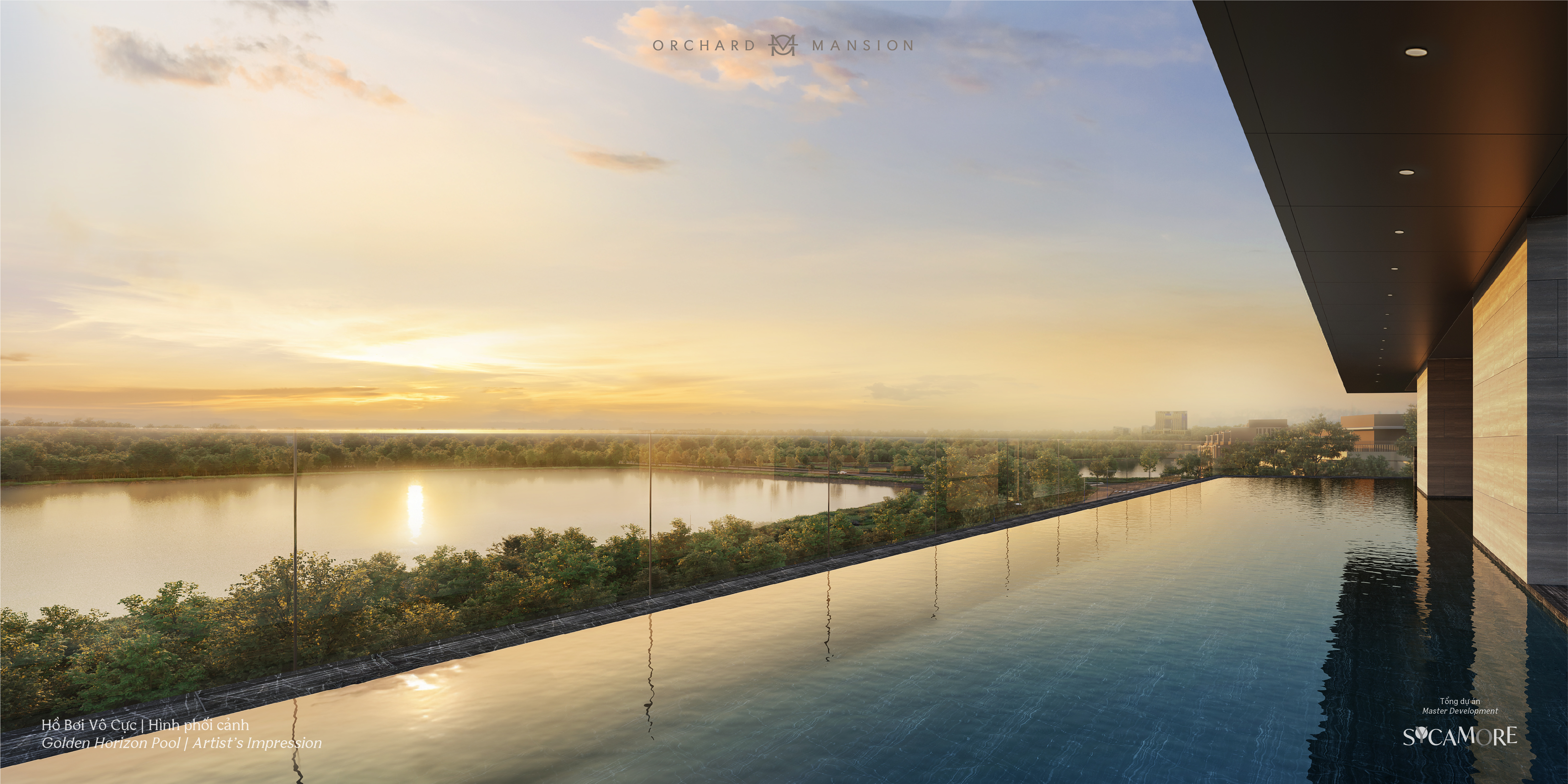 OM_Golden Horizon Pool