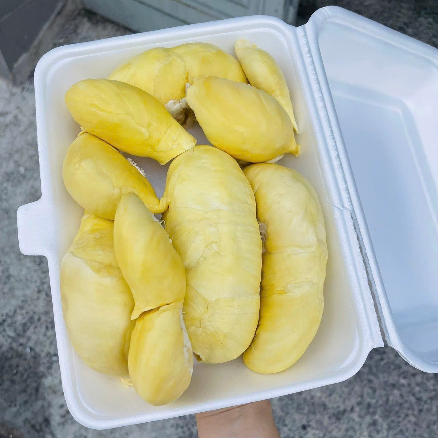 Sầu Riêng Thái_thumbnail_1