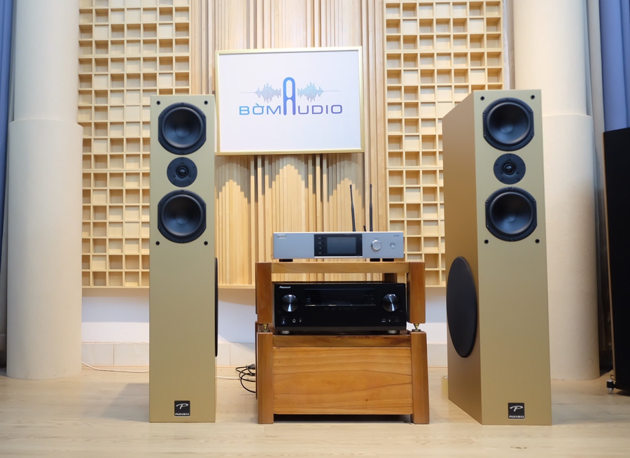 Hình ảnh chụp thực tế Combo Amply DBaucostic LX-H5 + loa Paramax D88 Luxury