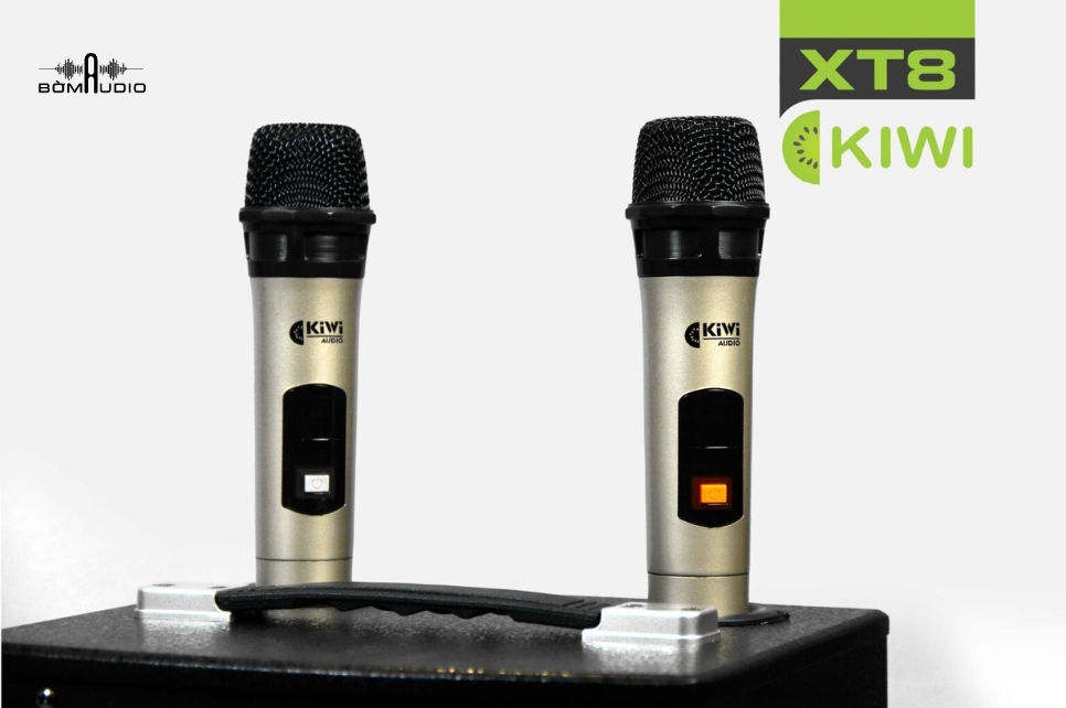 Micro không dây với hiệu ứng Echo