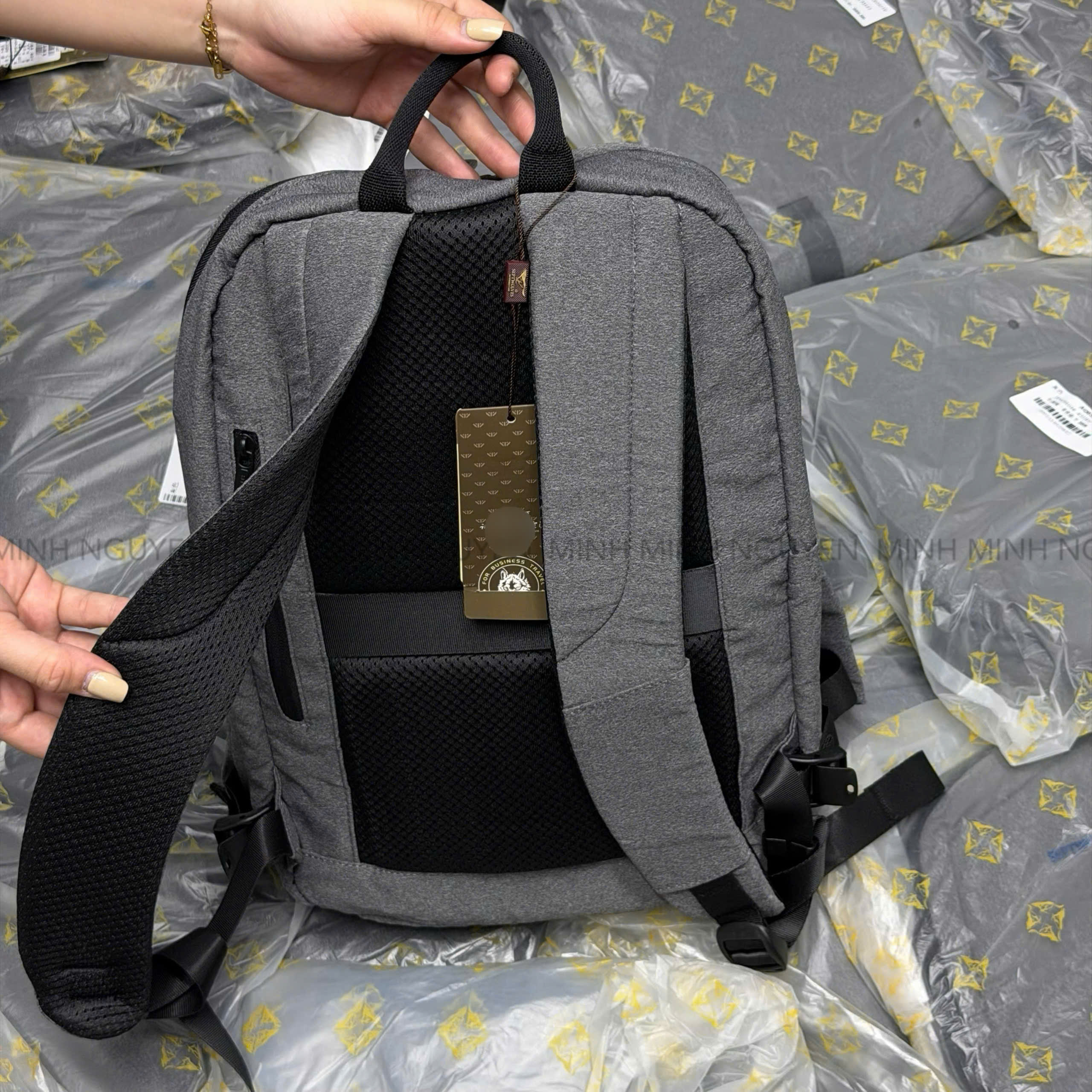 BALO SEPTWOLVES_thumbnail_6