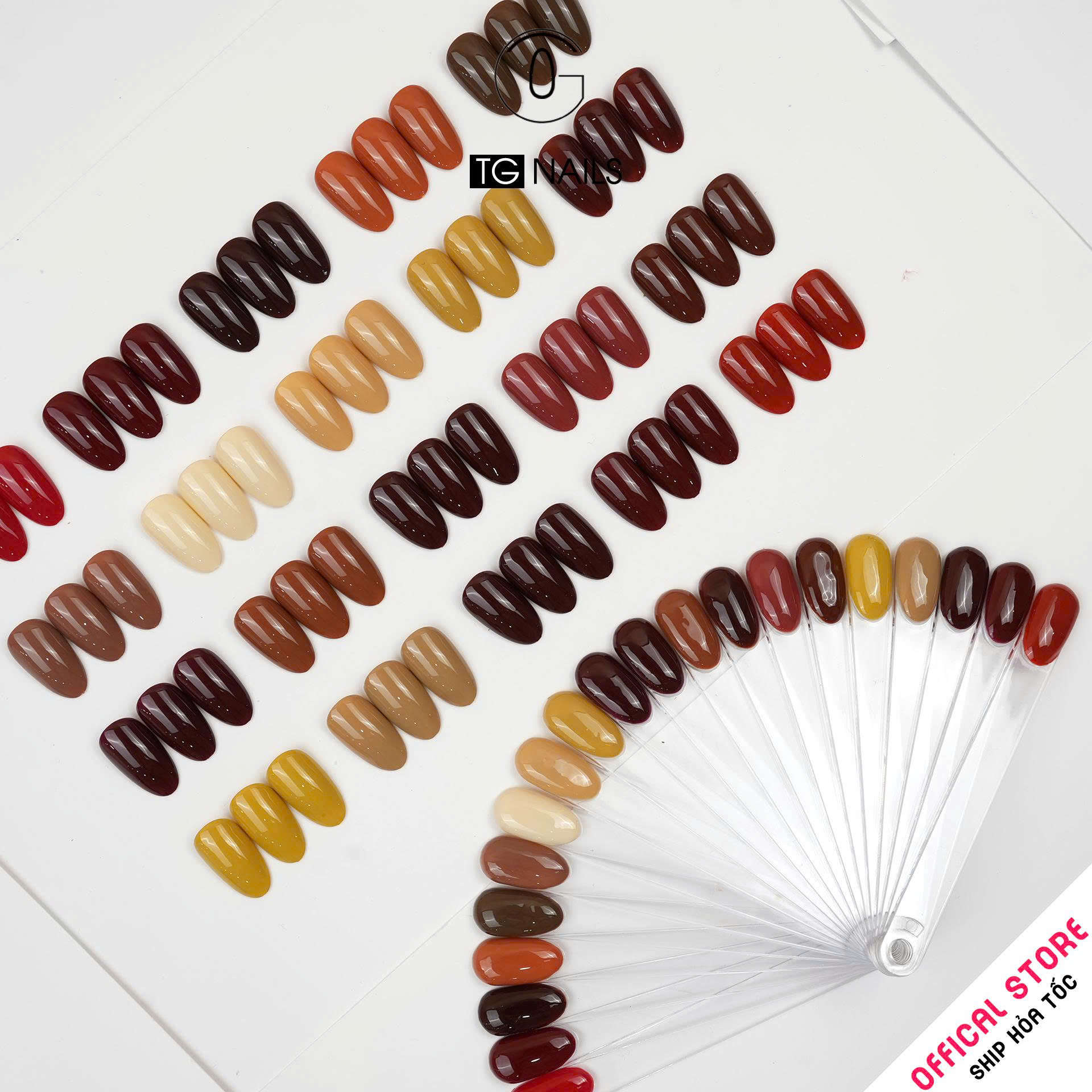 ComBo 20 màu Nâu TG Nails kèm bảng màu_thumbnail_3