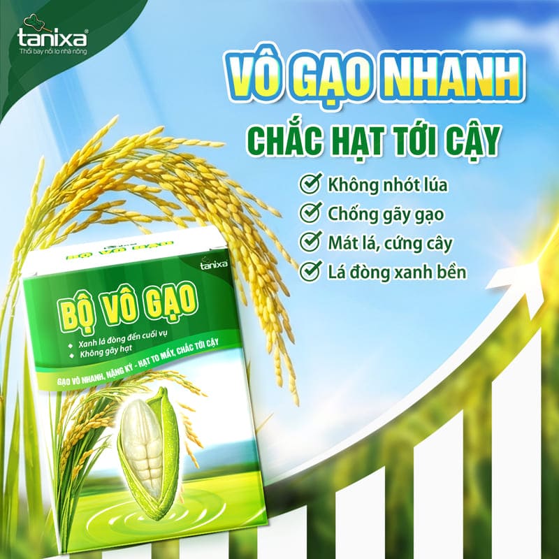 Bộ vô gạo Tanixa_thumbnail_1